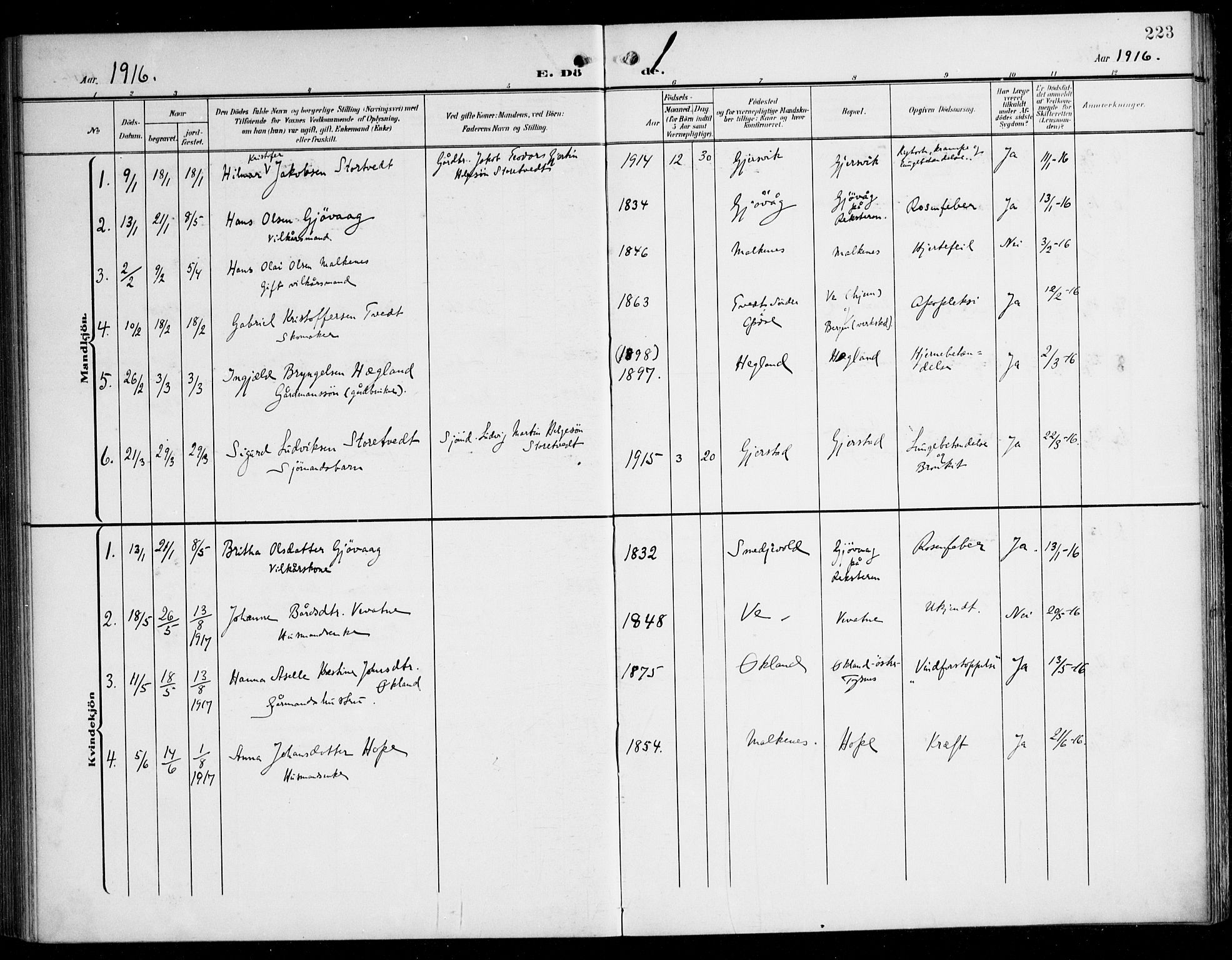 Tysnes sokneprestembete, SAB/A-78601/H/Haa: Ministerialbok nr. B 2, 1907-1925, s. 223