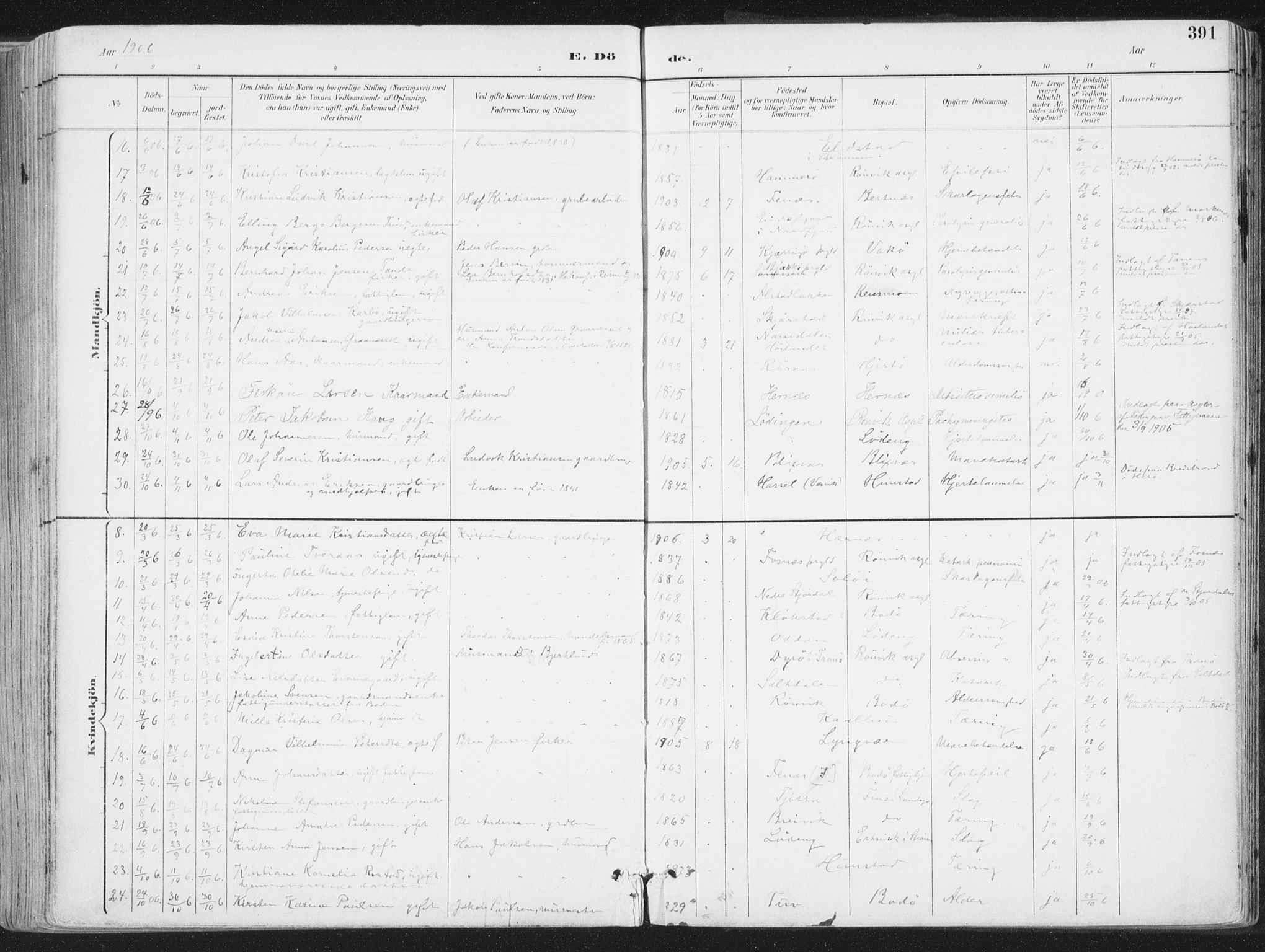 Ministerialprotokoller, klokkerbøker og fødselsregistre - Nordland, SAT/A-1459/802/L0055: Ministerialbok nr. 802A02, 1894-1915, s. 391