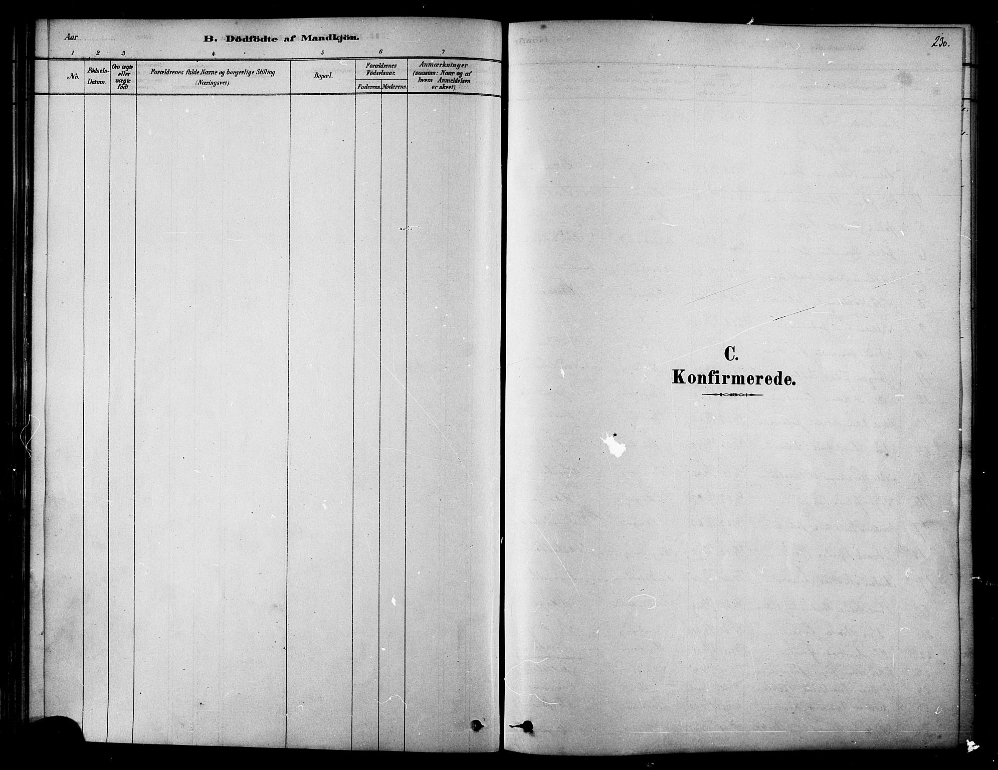 Ministerialprotokoller, klokkerbøker og fødselsregistre - Nordland, SAT/A-1459/834/L0507: Ministerialbok nr. 834A05, 1878-1892, s. 230