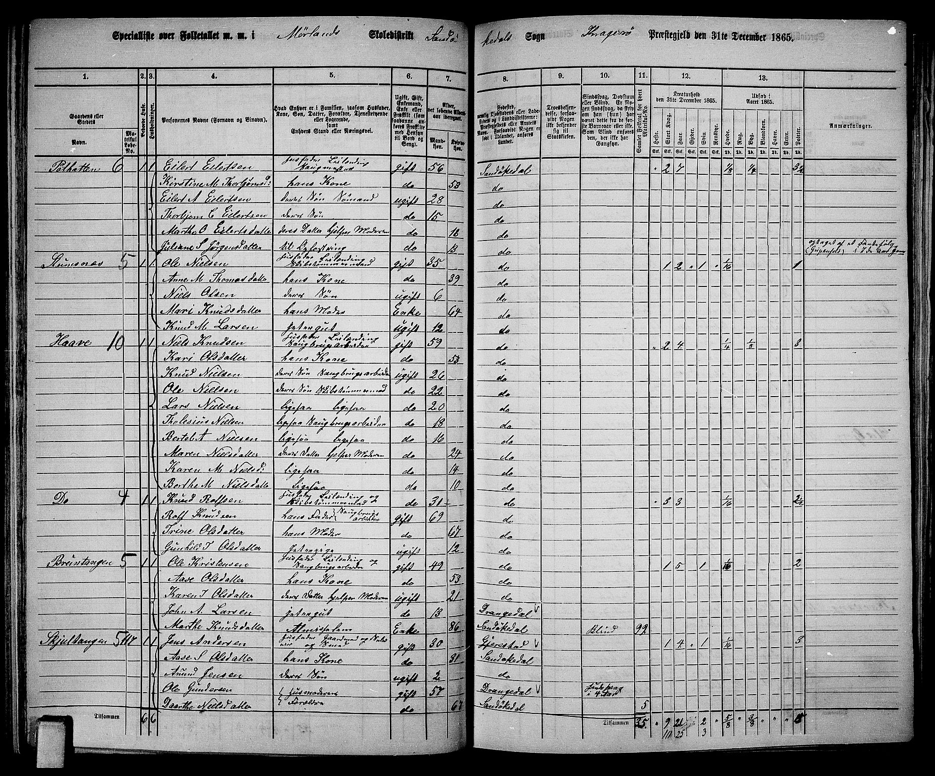 RA, Folketelling 1865 for 0816L Kragerø prestegjeld, Sannidal sokn og Skåtøy sokn, 1865, s. 71