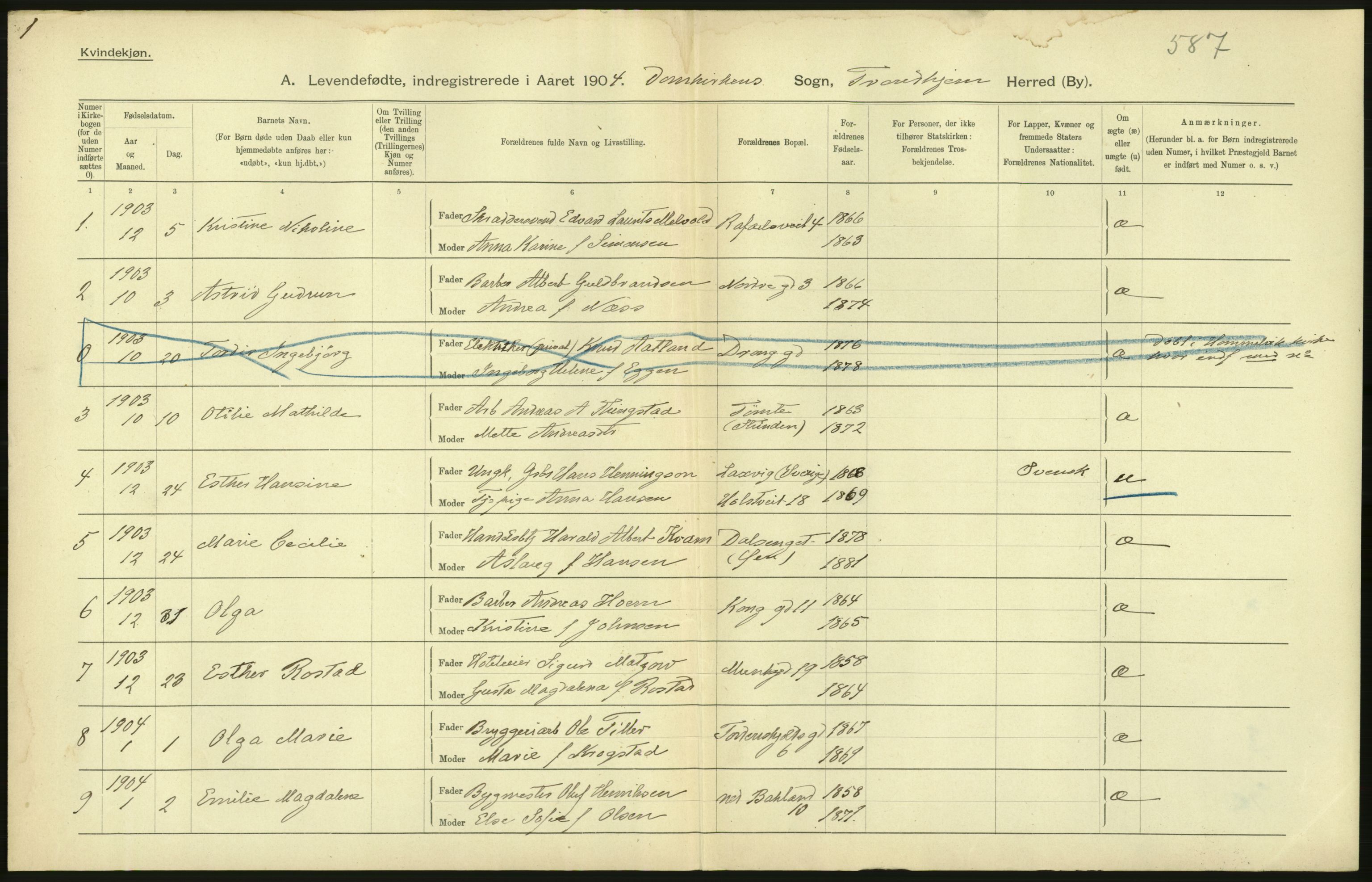 Statistisk sentralbyrå, Sosiodemografiske emner, Befolkning, AV/RA-S-2228/D/Df/Dfa/Dfab/L0018: Trondhjem: Fødte, gifte, døde., 1904, s. 182