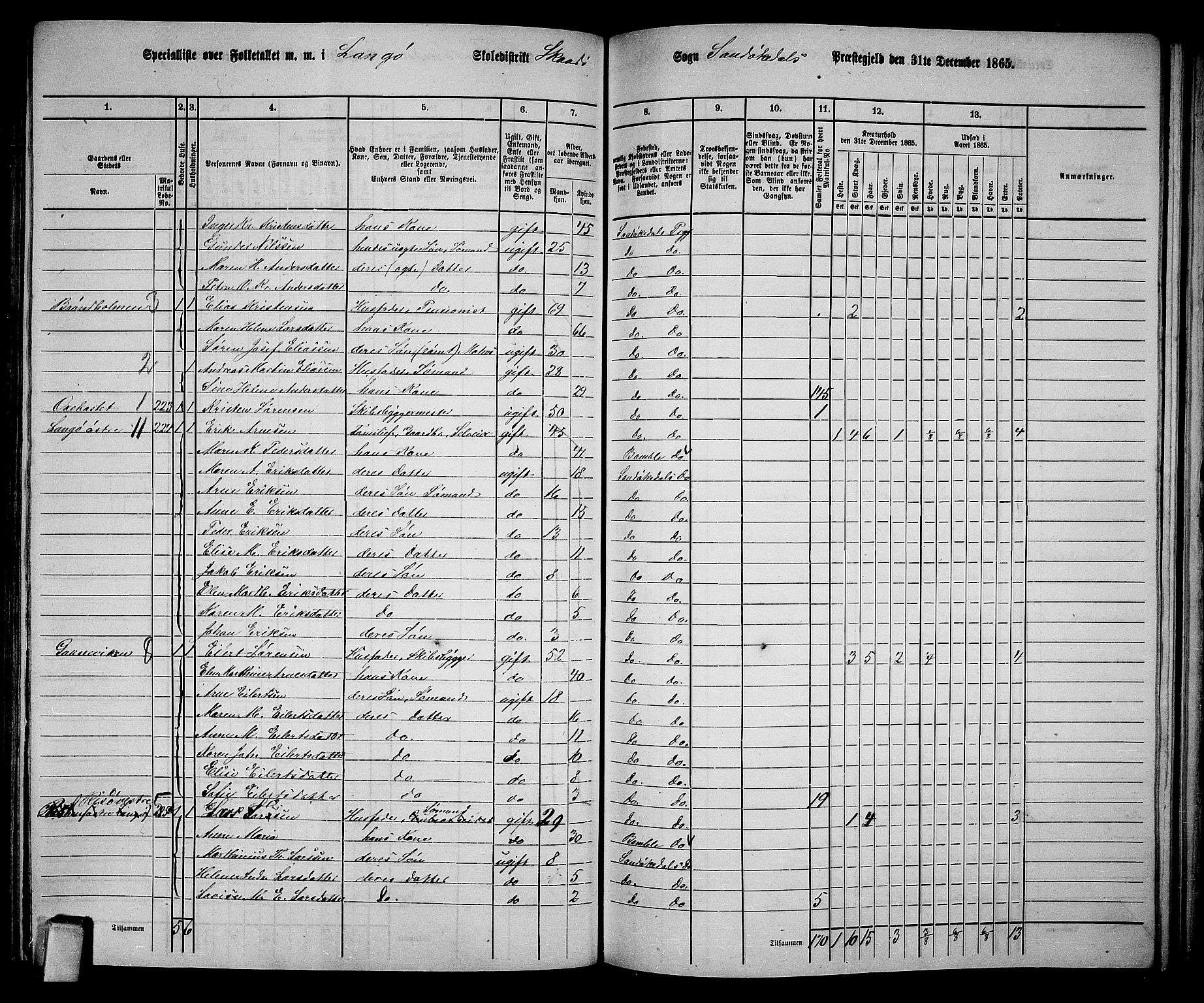 RA, Folketelling 1865 for 0816L Kragerø prestegjeld, Sannidal sokn og Skåtøy sokn, 1865, s. 171