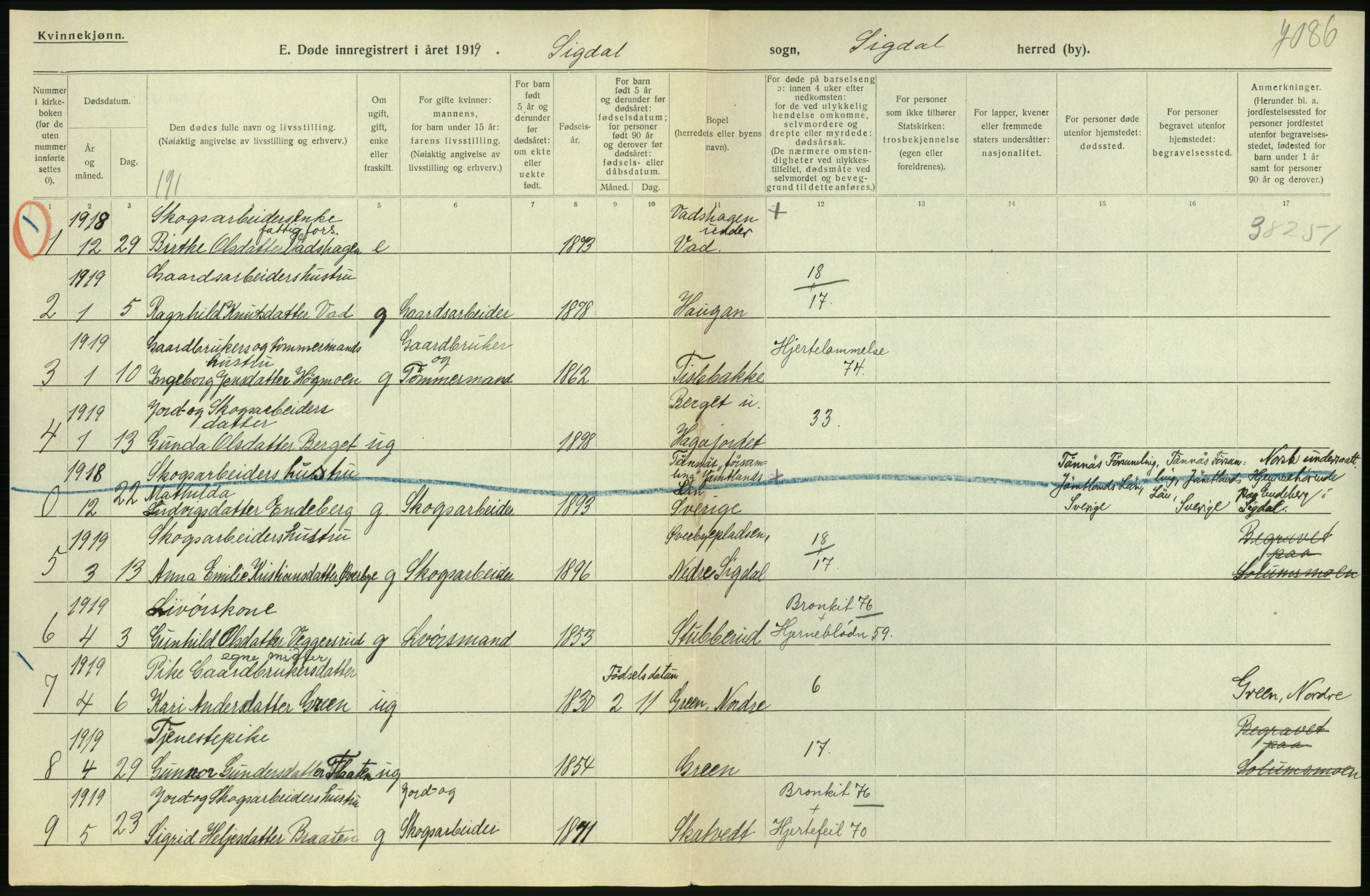 Statistisk sentralbyrå, Sosiodemografiske emner, Befolkning, AV/RA-S-2228/D/Df/Dfb/Dfbi/L0018: Buskerud fylke: Døde. Bygder og byer., 1919, s. 56