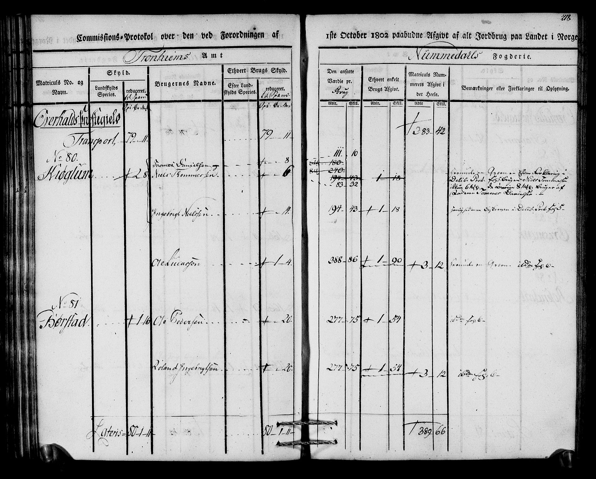 Rentekammeret inntil 1814, Realistisk ordnet avdeling, RA/EA-4070/N/Ne/Nea/L0154: Namdalen fogderi. Kommisjonsprotokoll, 1803, s. 219