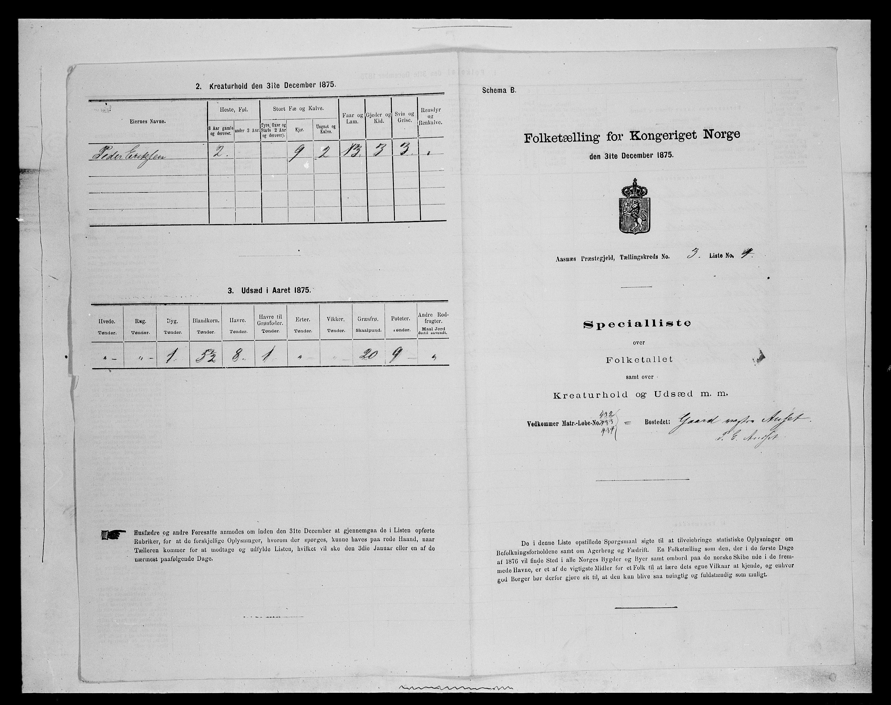 SAH, Folketelling 1875 for 0425P Åsnes prestegjeld, 1875, s. 312