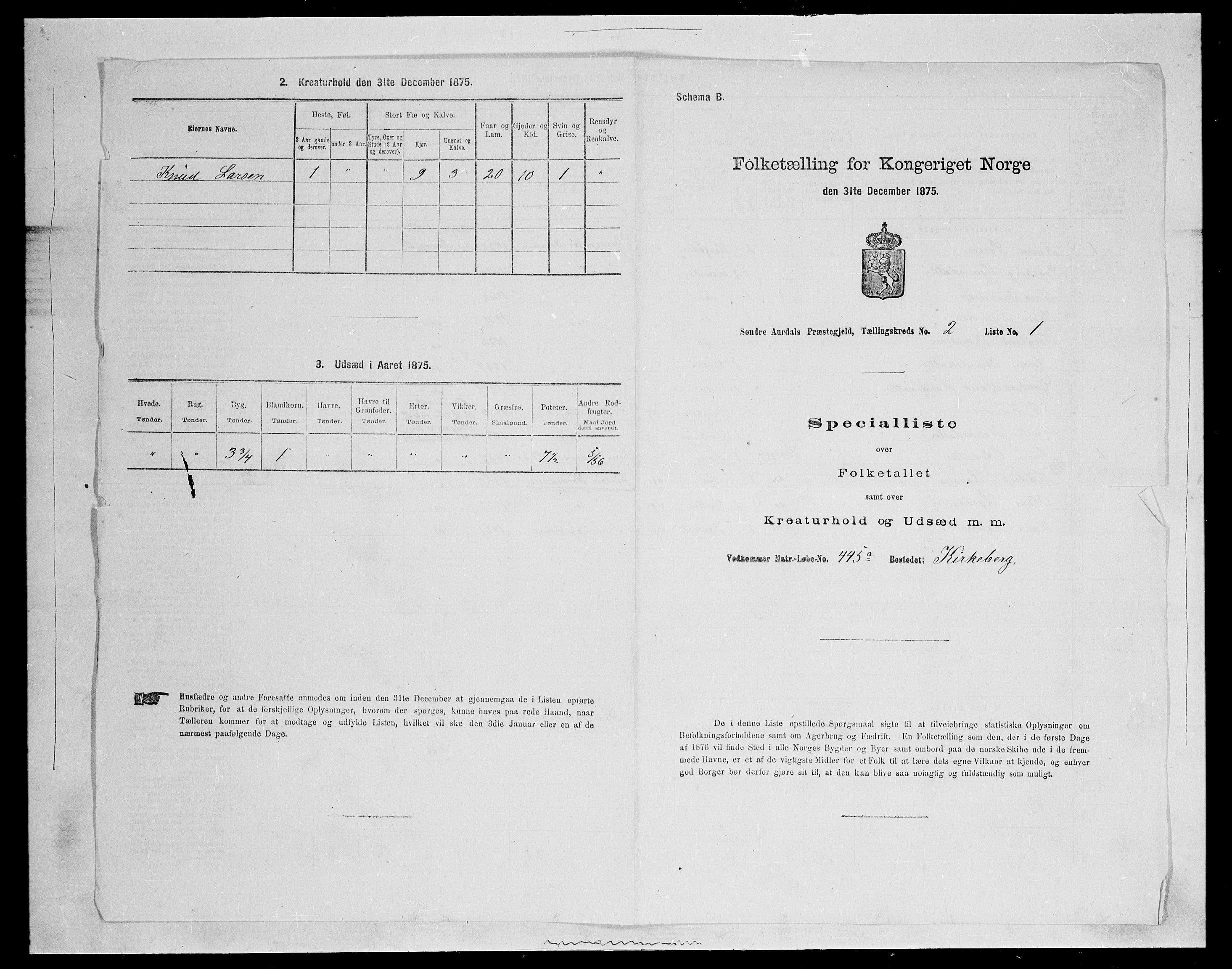 SAH, Folketelling 1875 for 0540P Sør-Aurdal prestegjeld, 1875, s. 413