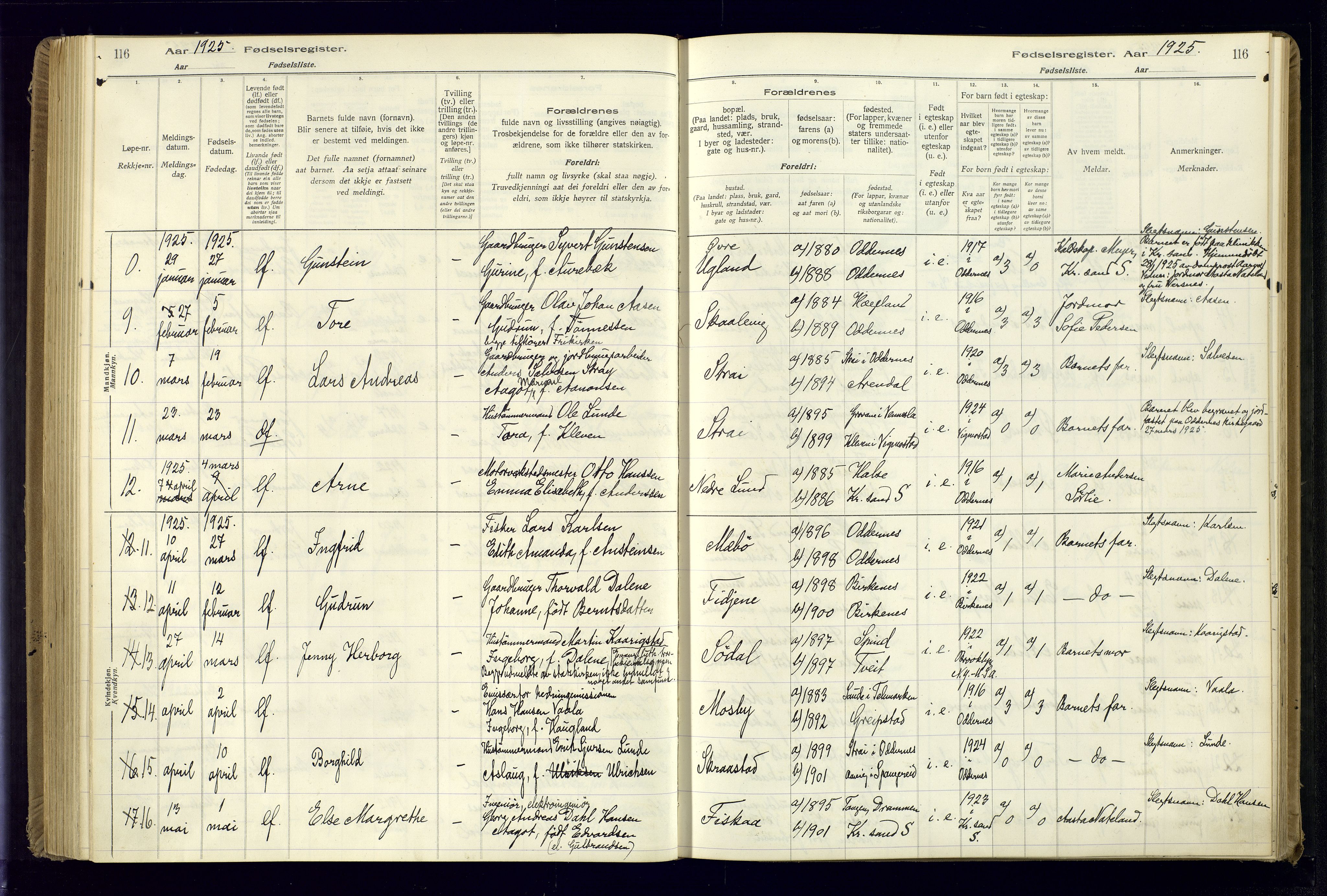 Oddernes sokneprestkontor, AV/SAK-1111-0033/J/Ja/L0001: Fødselsregister nr. 1, 1916-1935, s. 116