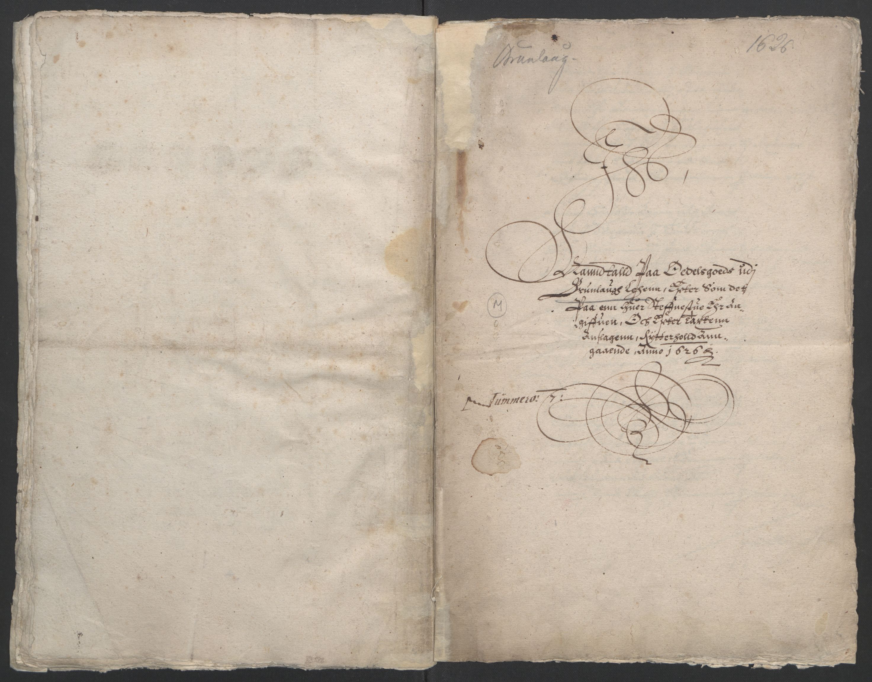 Stattholderembetet 1572-1771, AV/RA-EA-2870/Ek/L0009/0001: Jordebøker til utlikning av rosstjeneste 1624-1626: / Odelsjordebøker for noen vikværske len, 1624-1626, s. 223