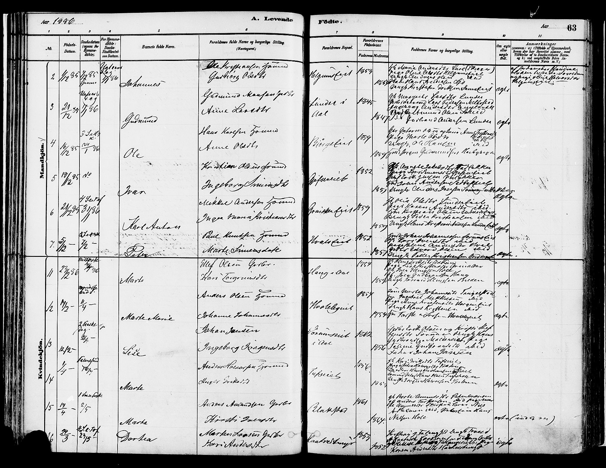 Gran prestekontor, SAH/PREST-112/H/Ha/Haa/L0014: Ministerialbok nr. 14, 1880-1889, s. 63