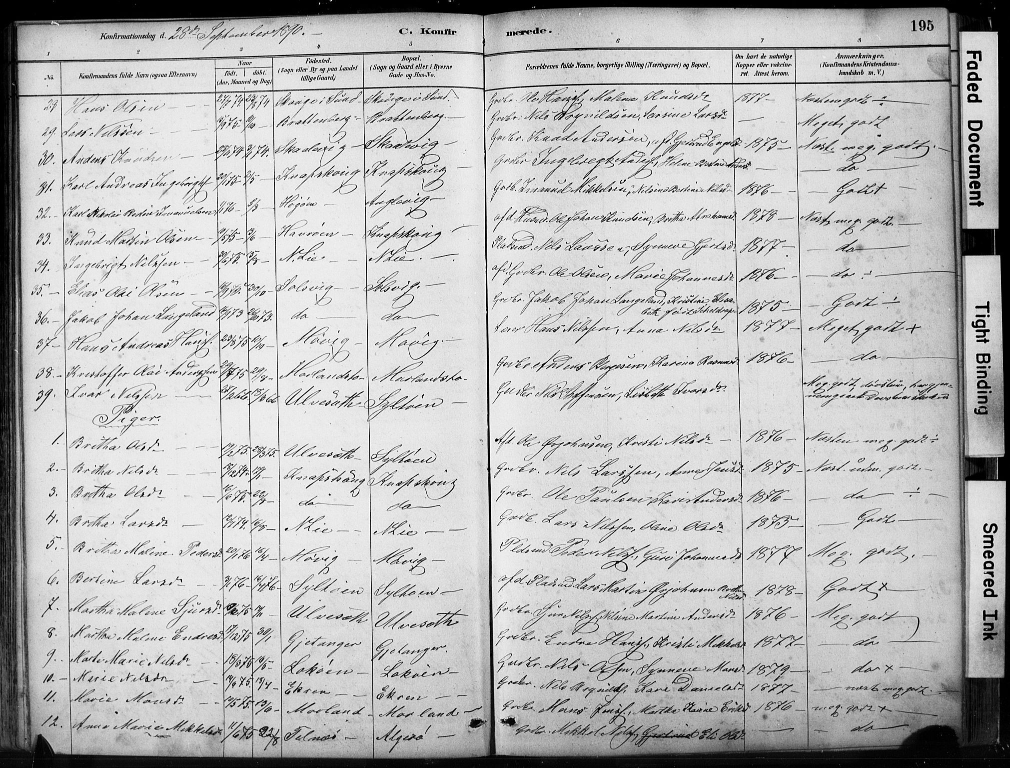 Fjell sokneprestembete, AV/SAB-A-75301/H/Hab: Klokkerbok nr. A 4, 1880-1899, s. 195