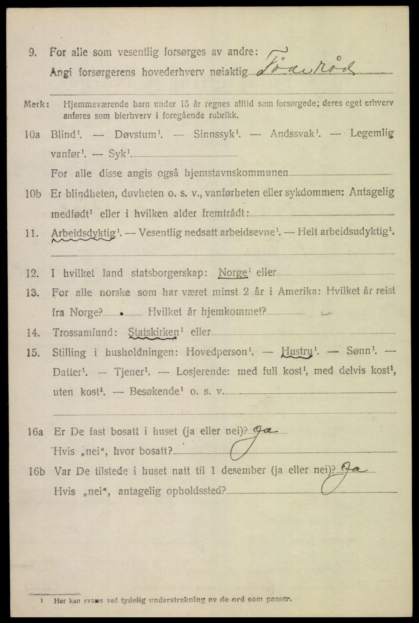 SAH, Folketelling 1920 for 0516 Heidal herred, 1920, s. 2549