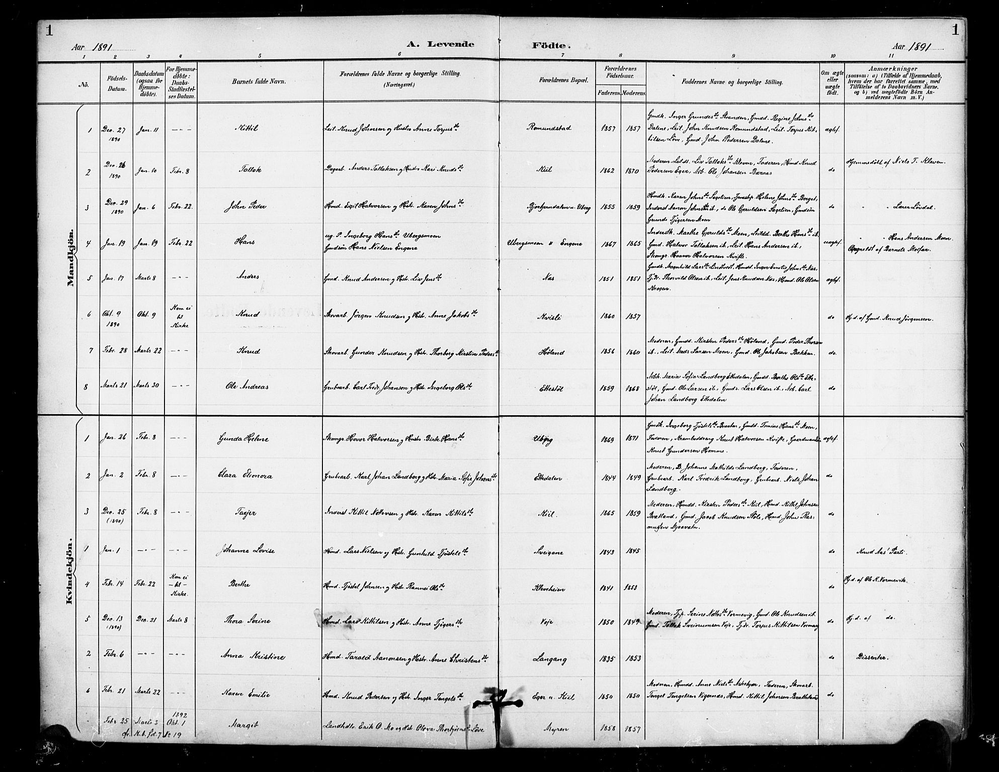 Gjerstad sokneprestkontor, AV/SAK-1111-0014/F/Fa/Fab/L0005: Ministerialbok nr. A 5, 1891-1908, s. 1