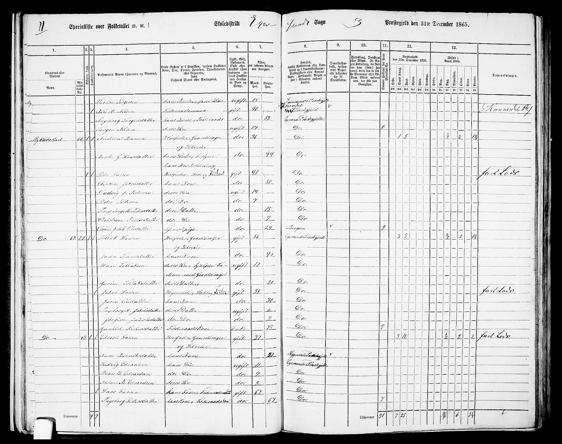 RA, Folketelling 1865 for 1116L Eigersund prestegjeld, Eigersund landsokn og Ogna sokn, 1865, s. 26