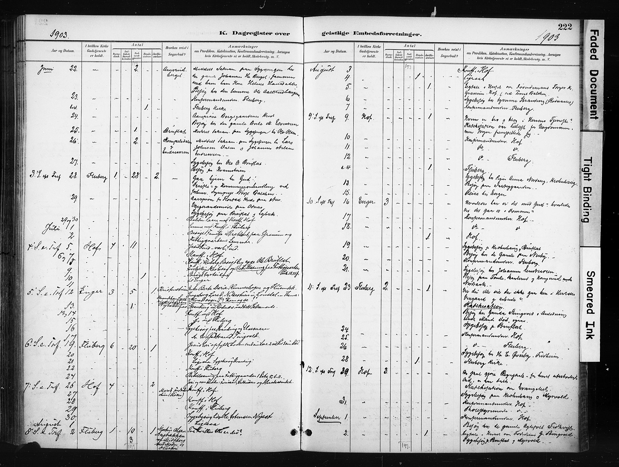 Søndre Land prestekontor, AV/SAH-PREST-122/K/L0004: Ministerialbok nr. 4, 1895-1904, s. 222