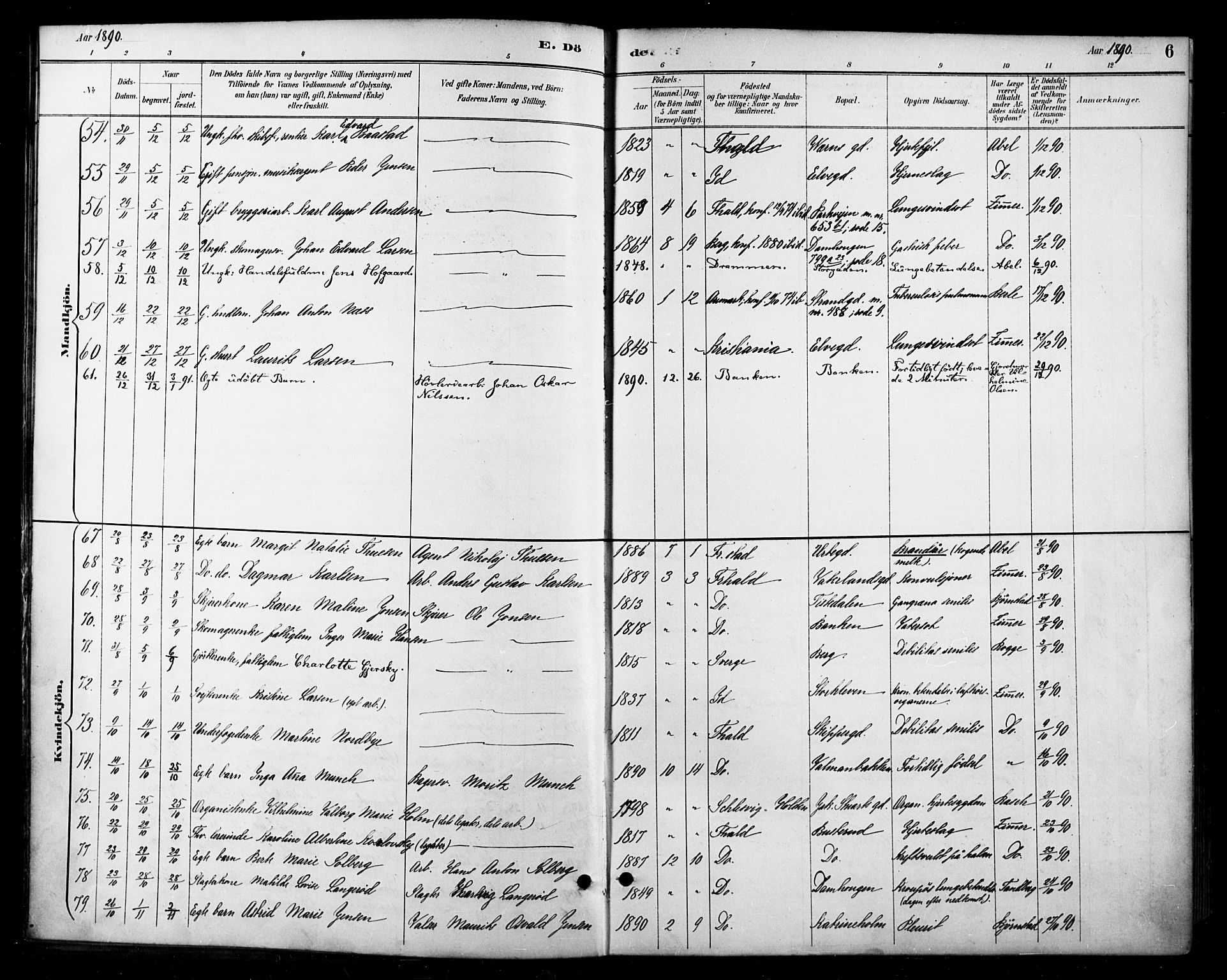 Halden prestekontor Kirkebøker, AV/SAO-A-10909/F/Fa/L0014: Ministerialbok nr. I 14, 1890-1906, s. 6