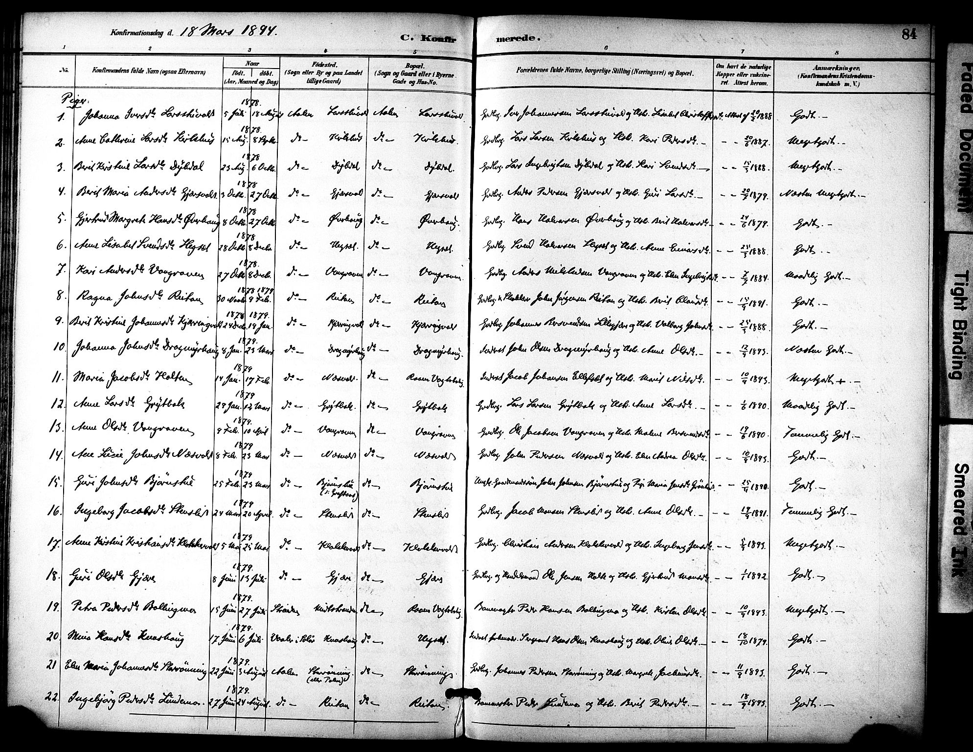 Ministerialprotokoller, klokkerbøker og fødselsregistre - Sør-Trøndelag, AV/SAT-A-1456/686/L0984: Ministerialbok nr. 686A02, 1891-1906, s. 84