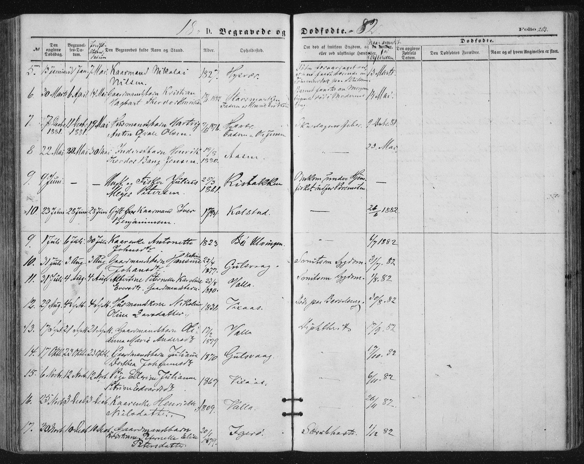 Ministerialprotokoller, klokkerbøker og fødselsregistre - Nordland, AV/SAT-A-1459/816/L0241: Ministerialbok nr. 816A07, 1870-1885, s. 263