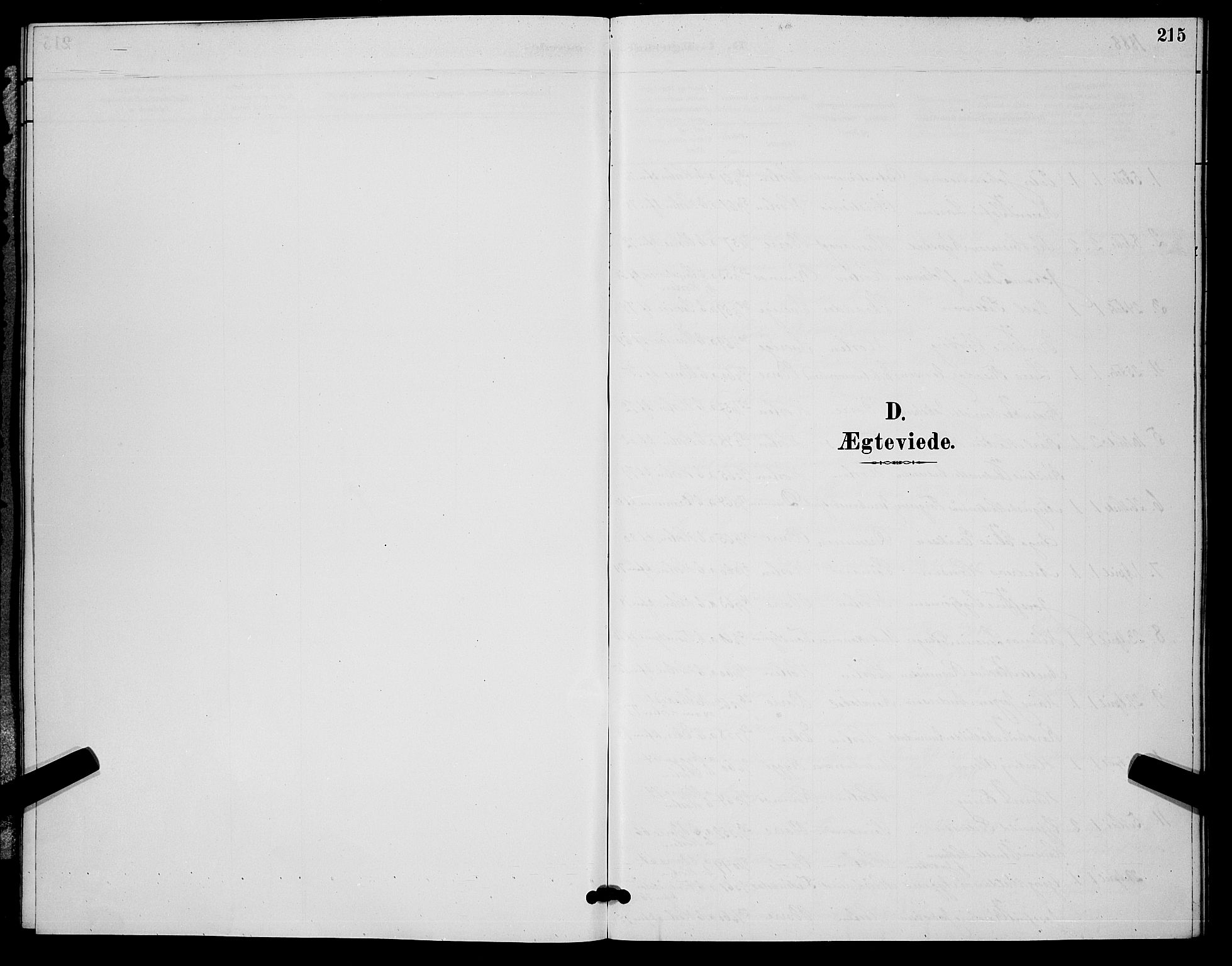 Horten kirkebøker, AV/SAKO-A-348/G/Ga/L0005: Klokkerbok nr. 5, 1888-1895, s. 215