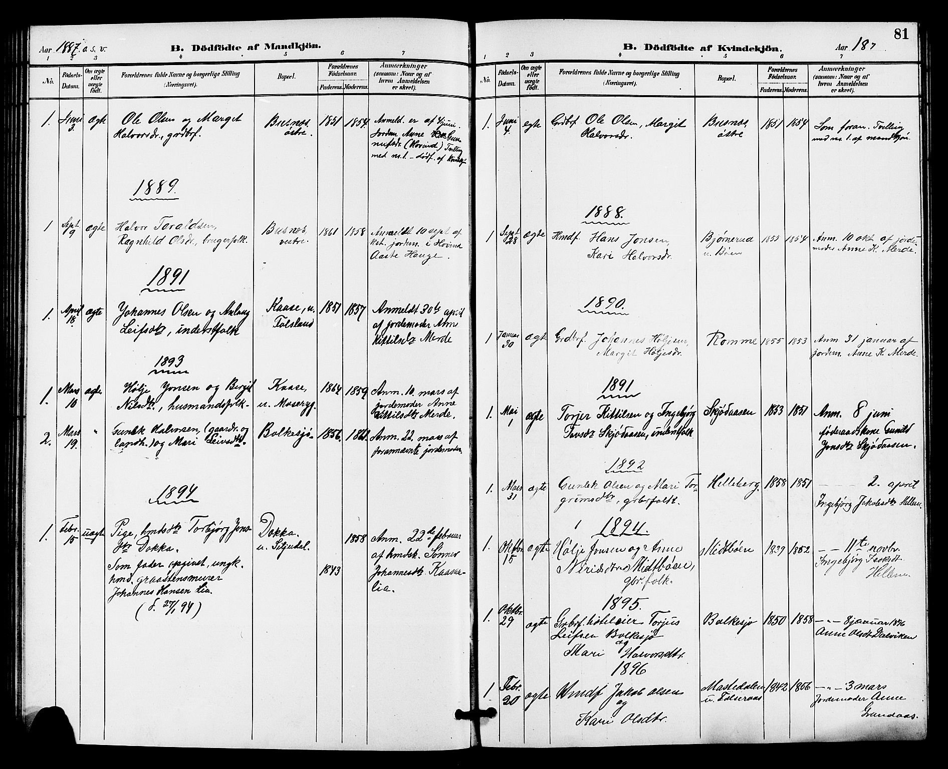 Gransherad kirkebøker, AV/SAKO-A-267/G/Ga/L0003: Klokkerbok nr. I 3, 1887-1915, s. 81
