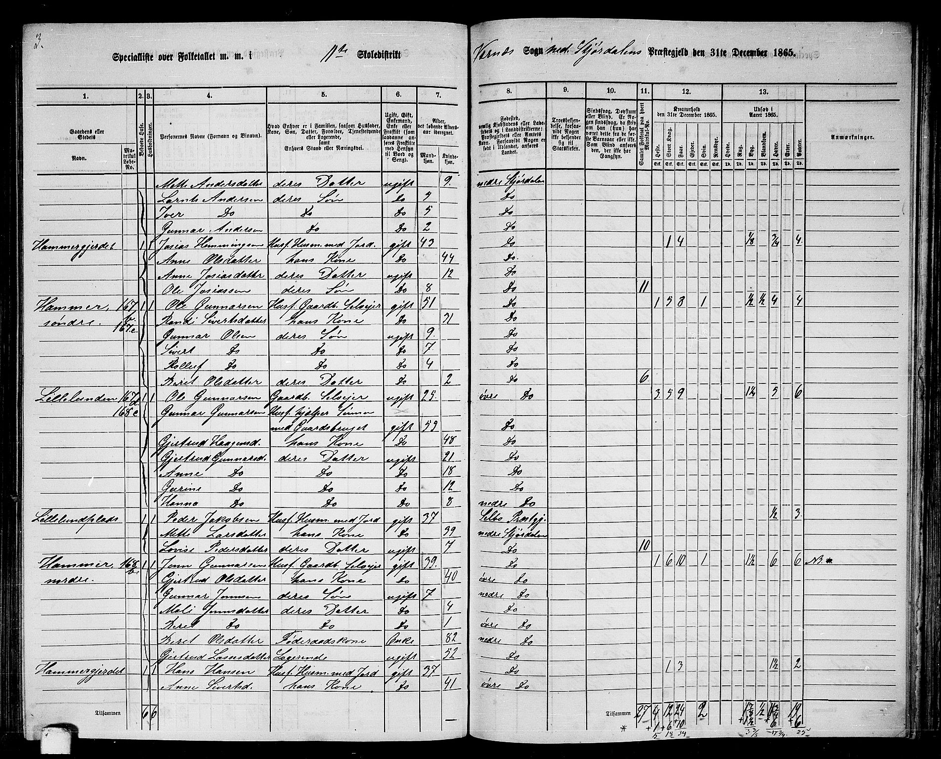 RA, Folketelling 1865 for 1714P Nedre Stjørdal prestegjeld, 1865, s. 222