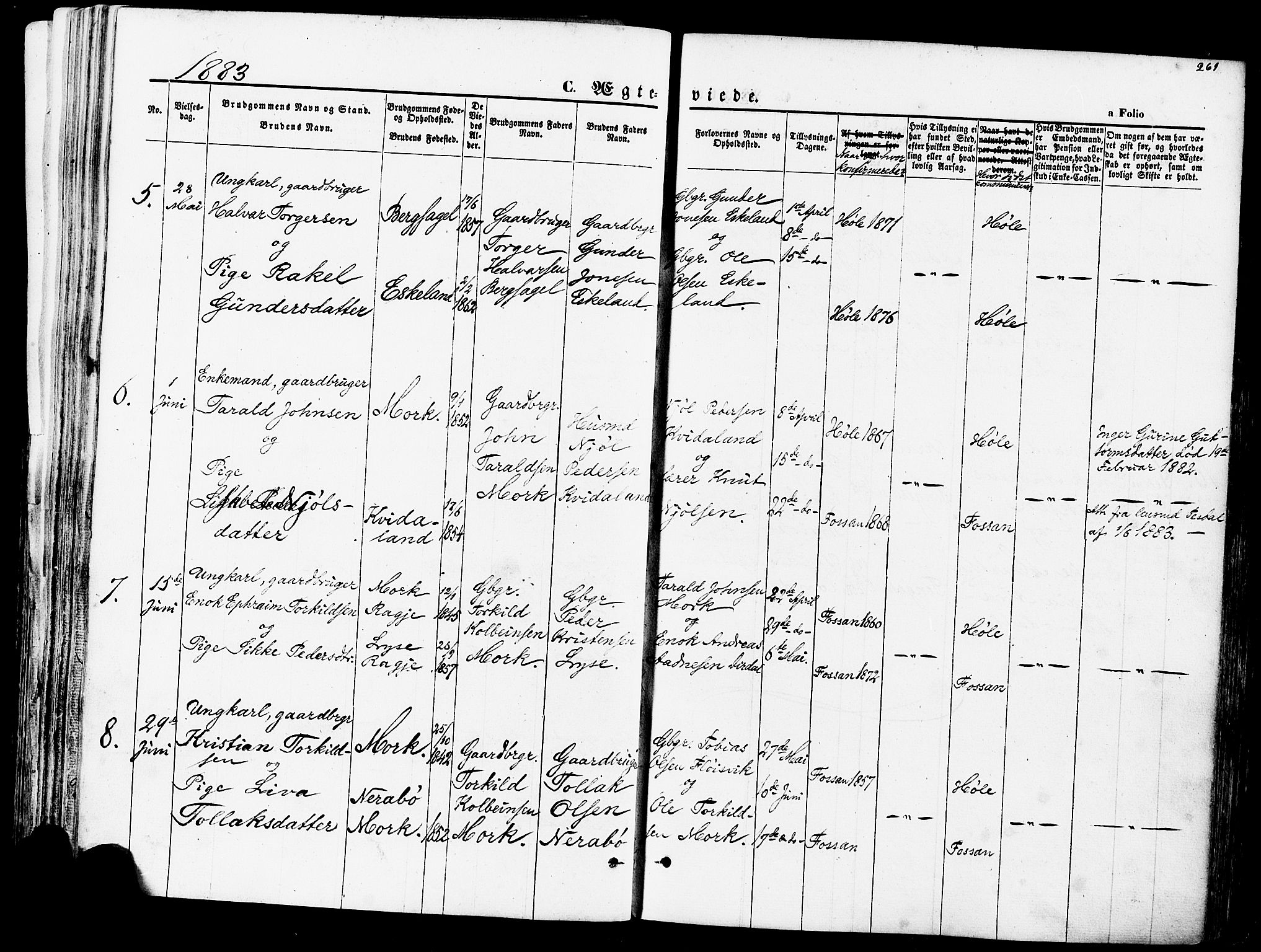 Høgsfjord sokneprestkontor, AV/SAST-A-101624/H/Ha/Haa/L0002: Ministerialbok nr. A 2, 1855-1885, s. 261