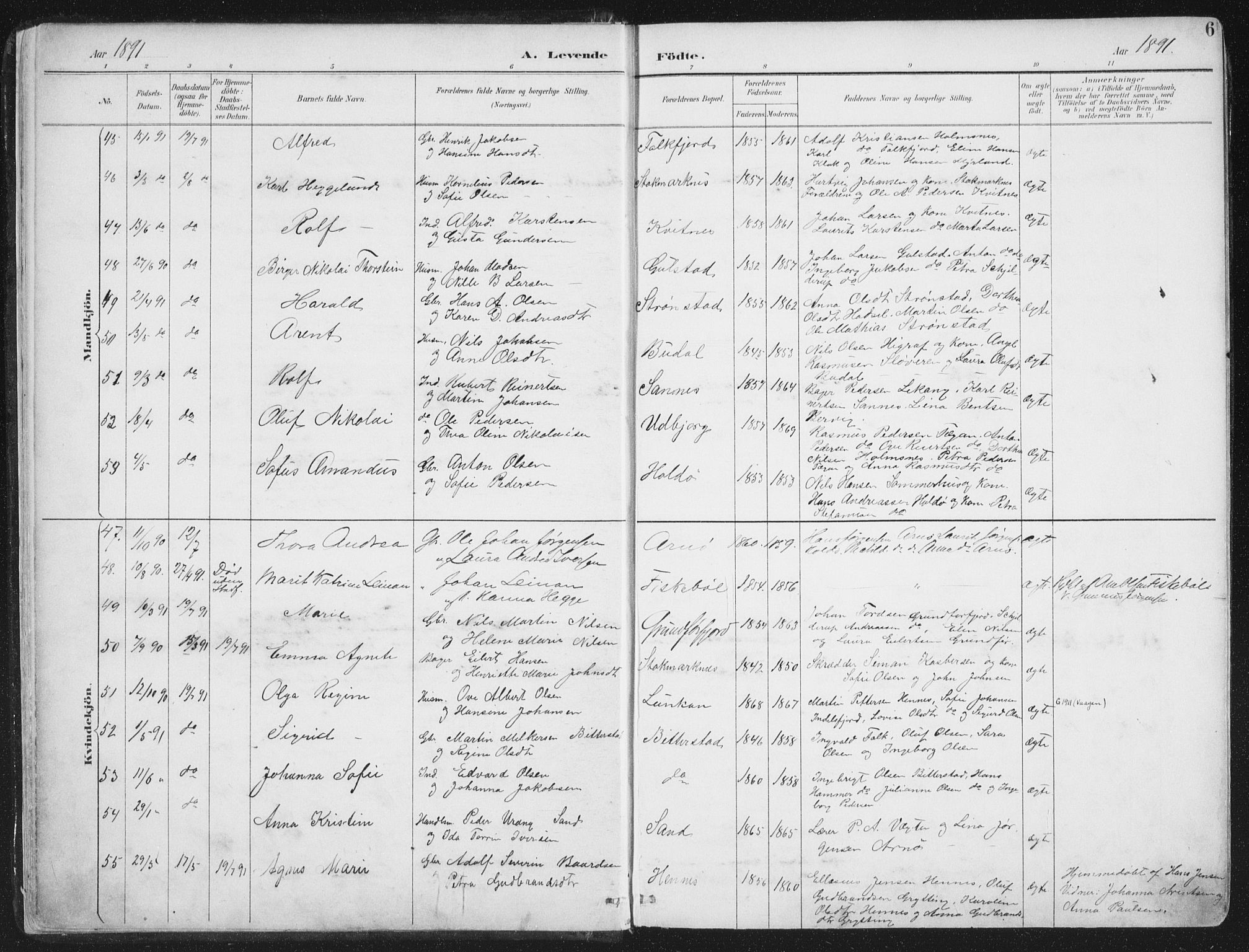 Ministerialprotokoller, klokkerbøker og fødselsregistre - Nordland, AV/SAT-A-1459/888/L1246: Ministerialbok nr. 888A12, 1891-1903, s. 6
