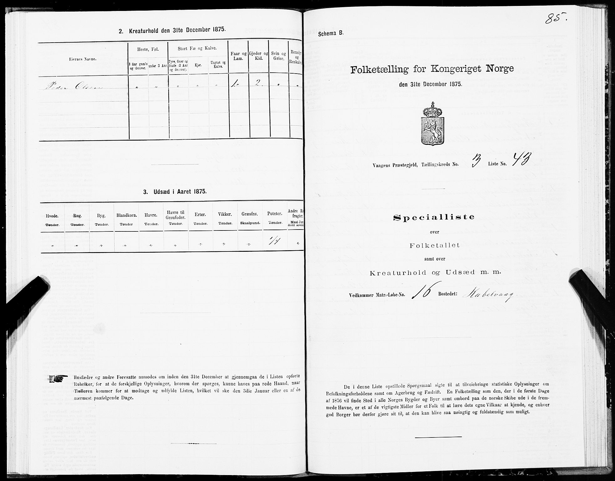 SAT, Folketelling 1875 for 1865P Vågan prestegjeld, 1875, s. 2085