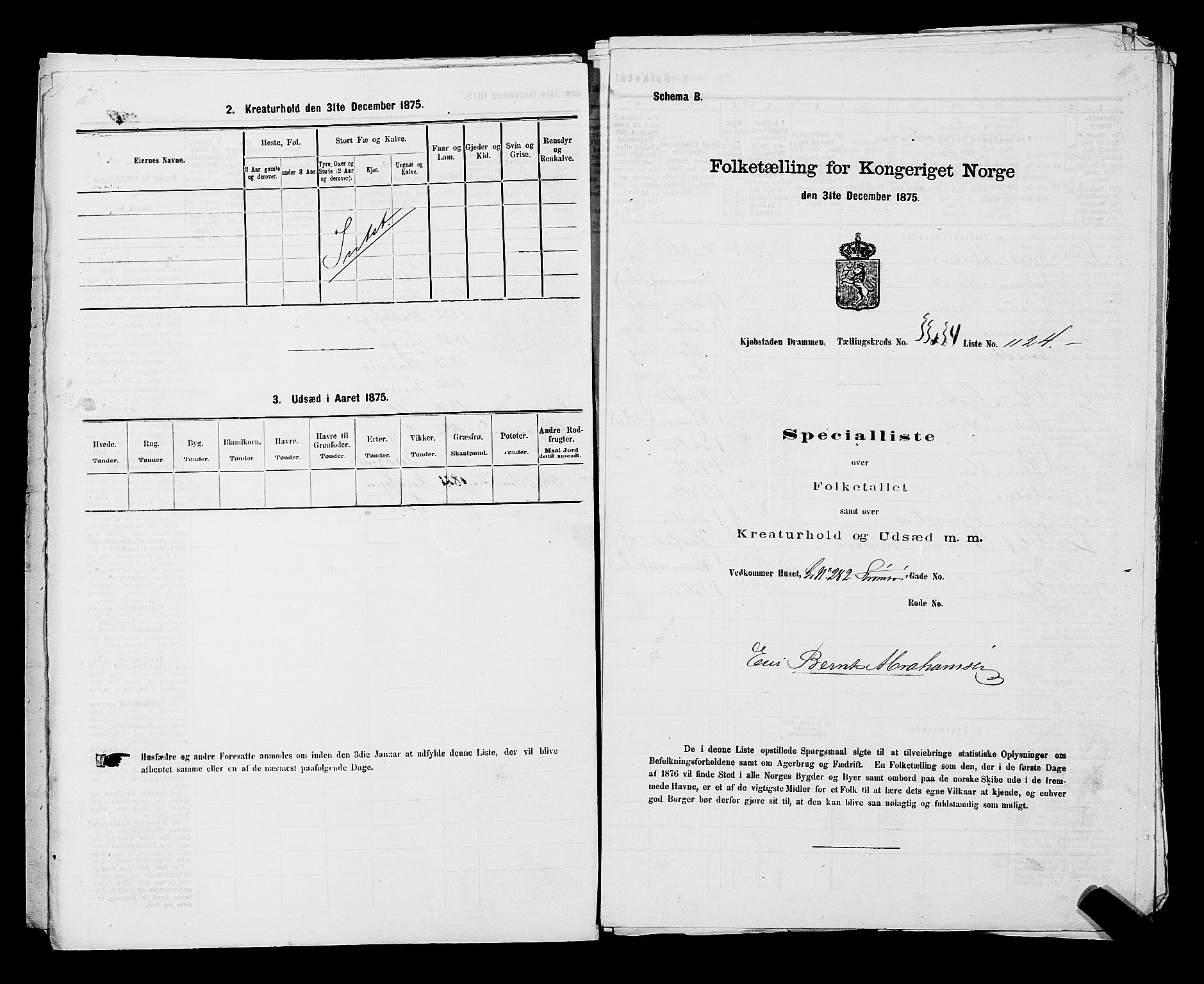 SAKO, Folketelling 1875 for 0602 Drammen kjøpstad, 1875, s. 2979
