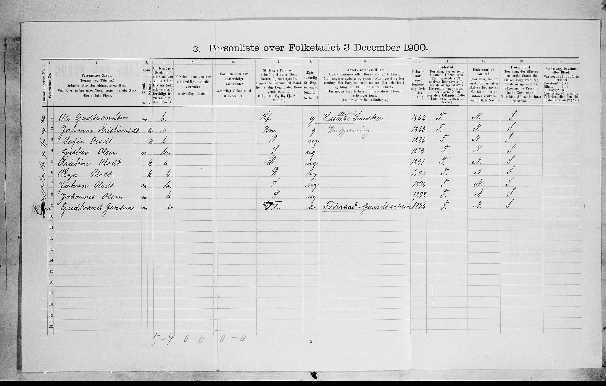 SAH, Folketelling 1900 for 0536 Søndre Land herred, 1900, s. 1312