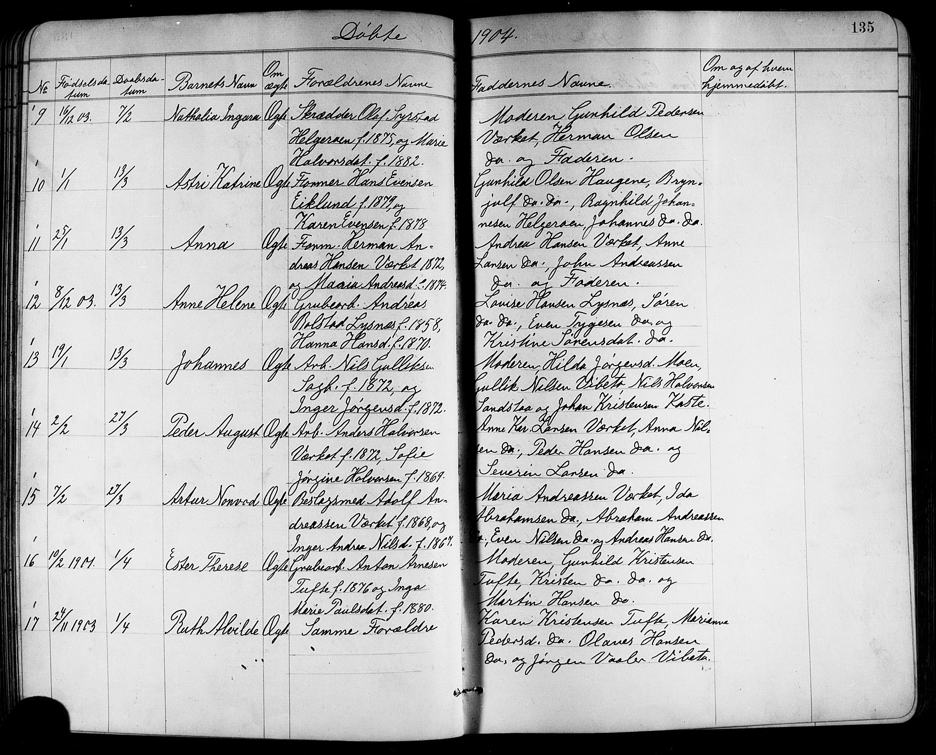 Holla kirkebøker, AV/SAKO-A-272/G/Ga/L0005: Klokkerbok nr. I 5, 1891-1917, s. 135