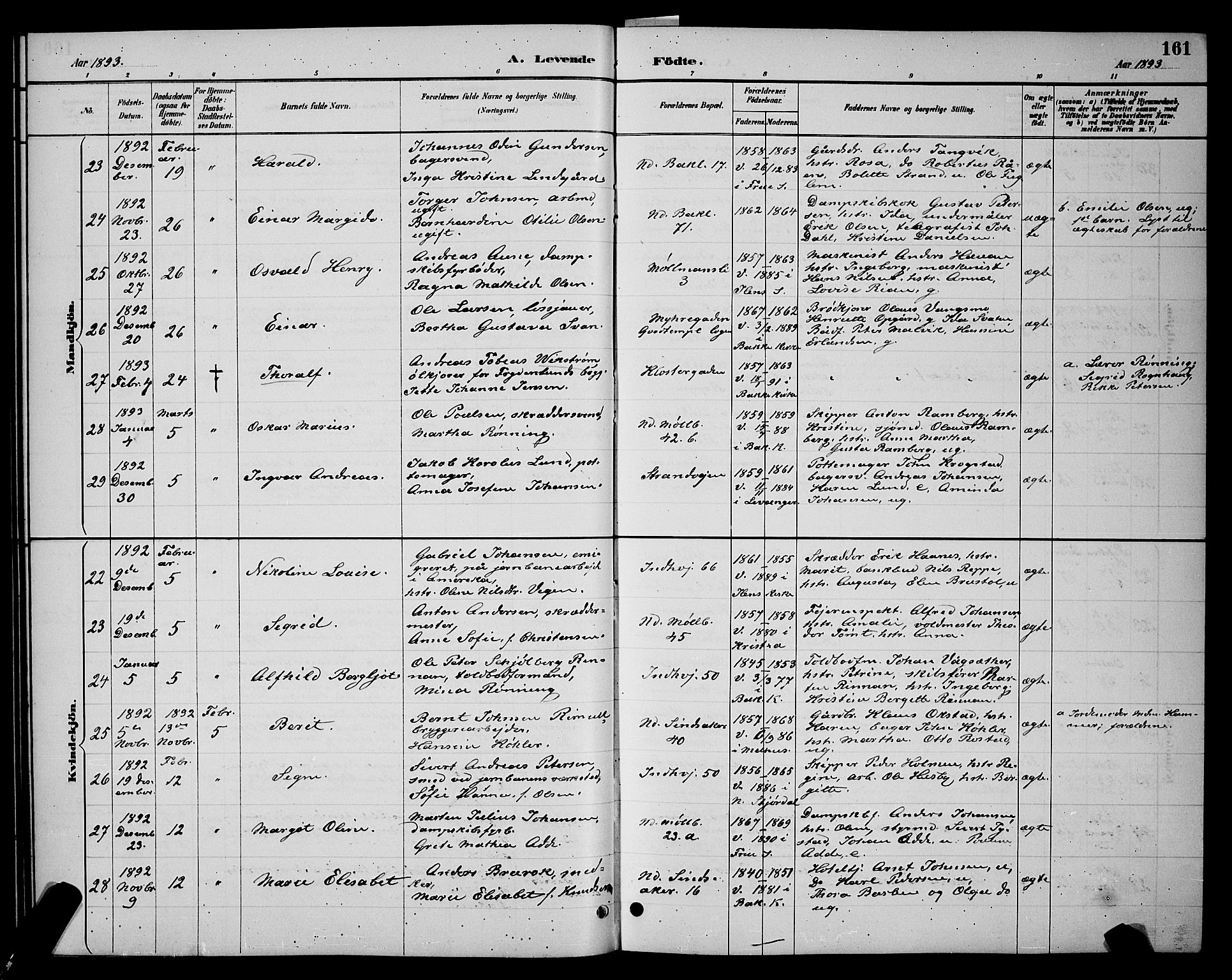 Ministerialprotokoller, klokkerbøker og fødselsregistre - Sør-Trøndelag, SAT/A-1456/604/L0222: Klokkerbok nr. 604C05, 1886-1895, s. 161