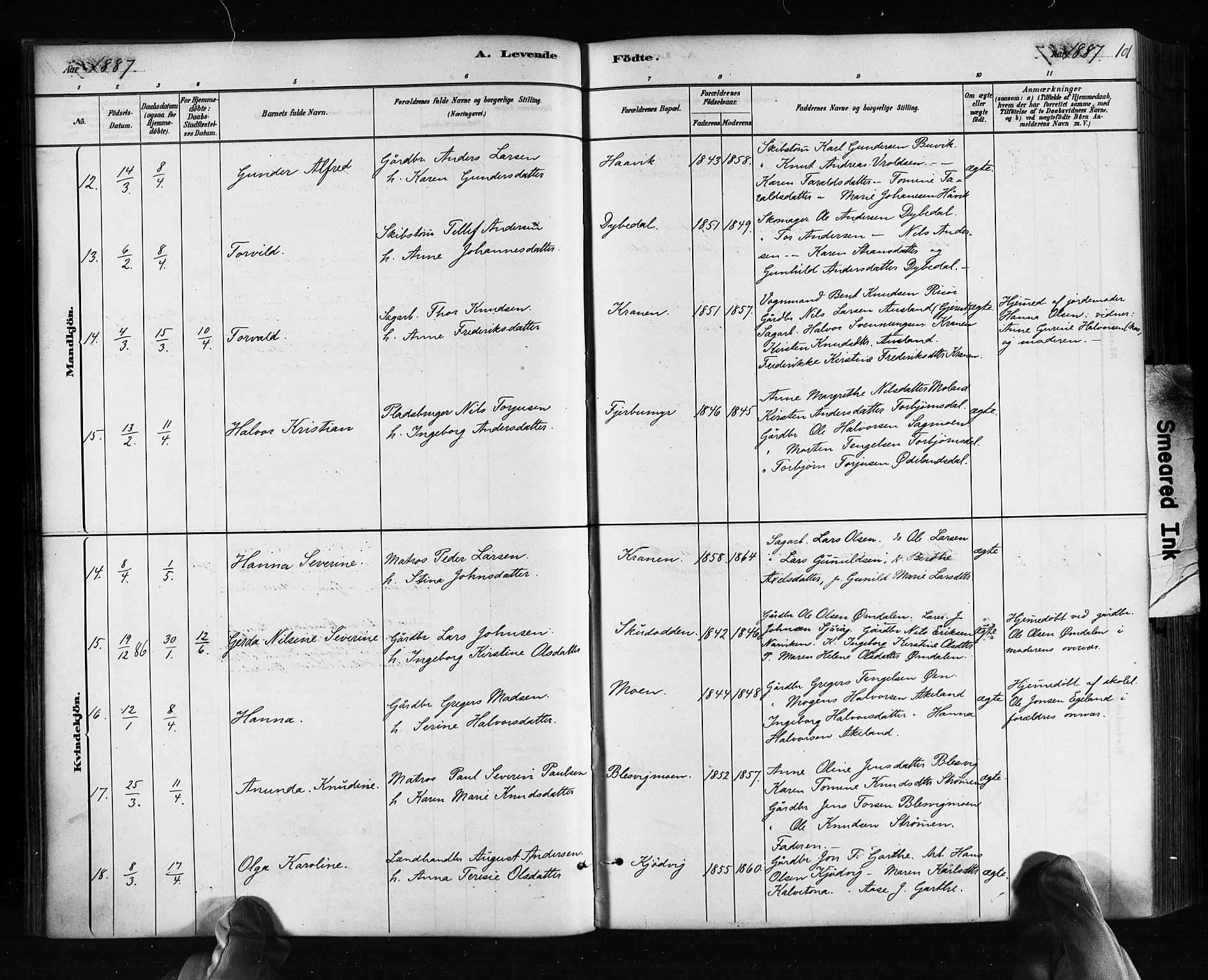 Søndeled sokneprestkontor, AV/SAK-1111-0038/F/Fa/L0004: Ministerialbok nr. A 4, 1880-1889, s. 101