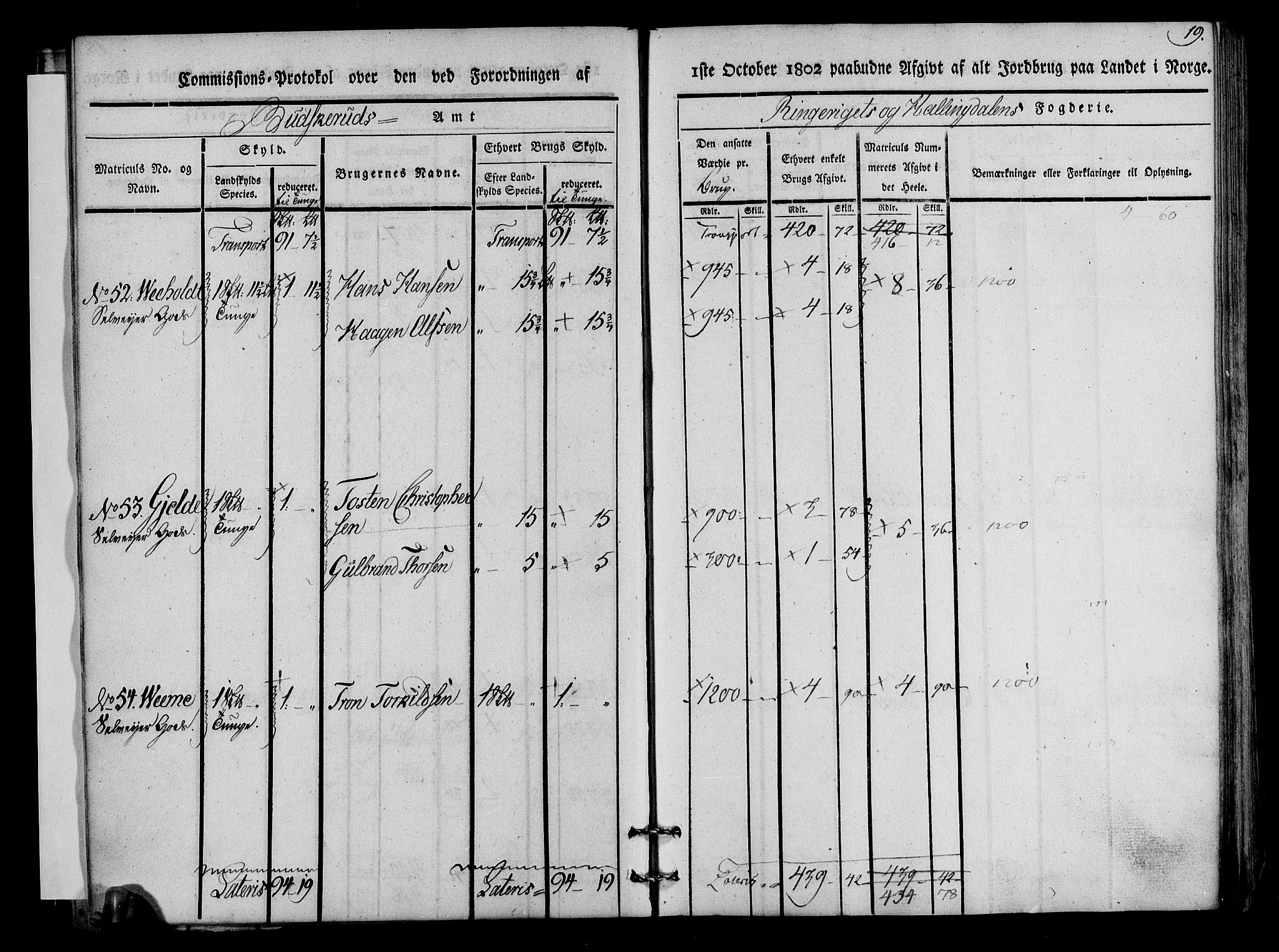 Rentekammeret inntil 1814, Realistisk ordnet avdeling, AV/RA-EA-4070/N/Ne/Nea/L0045: Ringerike og Hallingdal fogderi. Kommisjonsprotokoll for Norderhov prestegjeld, 1803, s. 21
