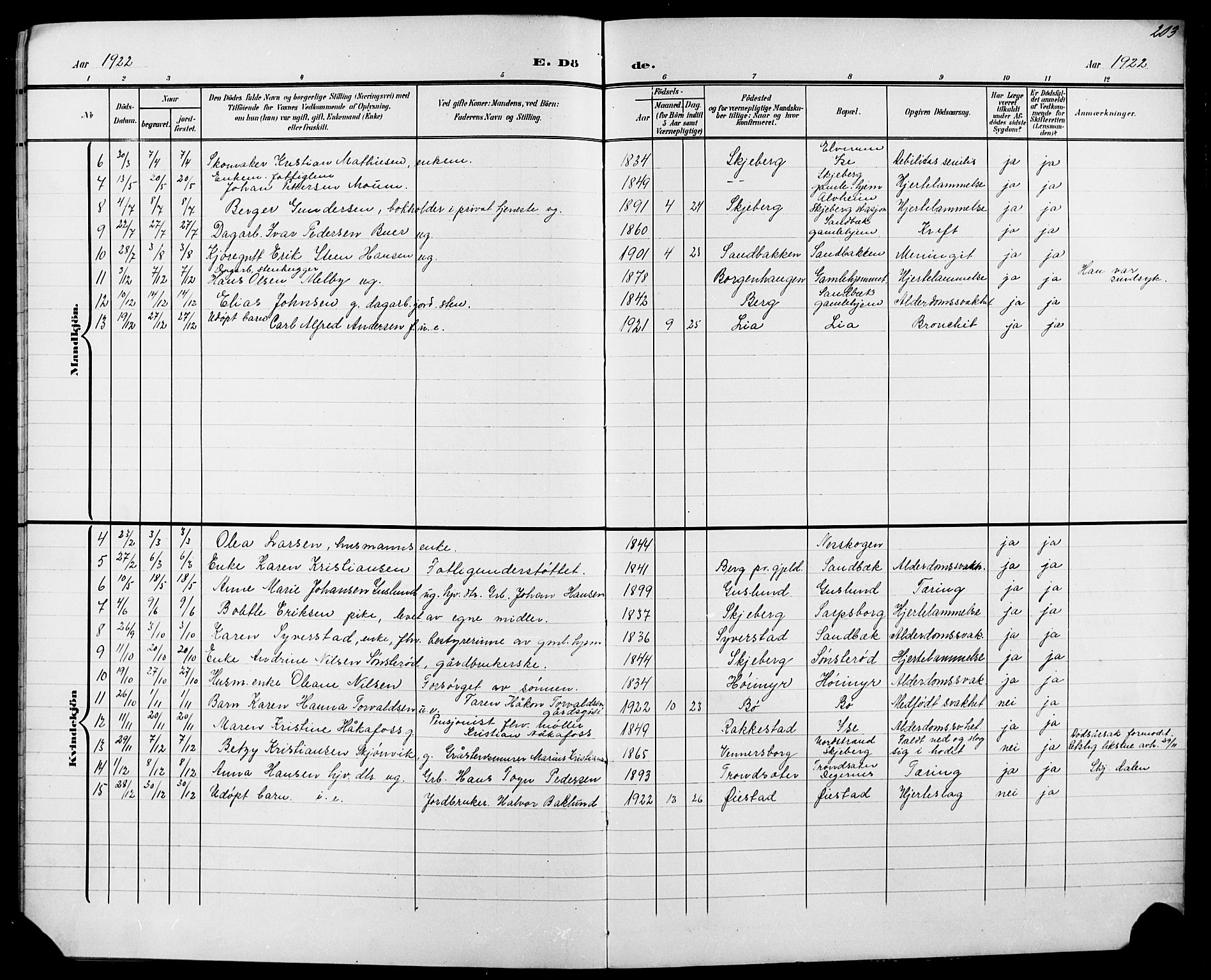 Skjeberg prestekontor Kirkebøker, SAO/A-10923/G/Ga/L0002: Klokkerbok nr. I 2, 1901-1924, s. 203