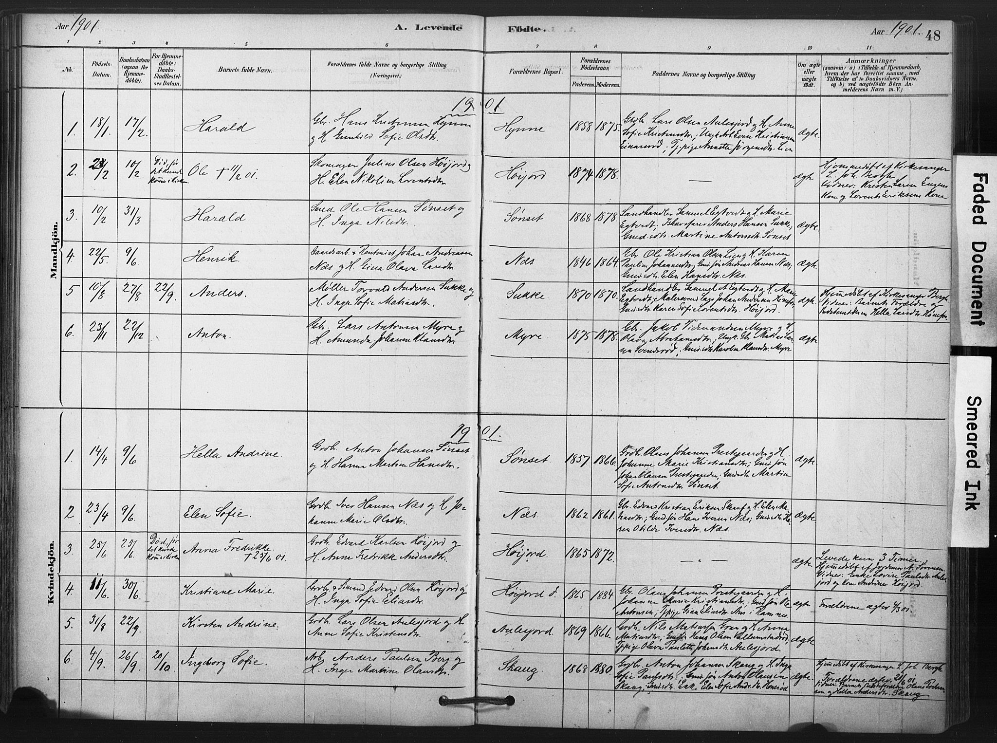Andebu kirkebøker, AV/SAKO-A-336/F/Fb/L0001: Ministerialbok nr. II 1, 1878-1909, s. 48