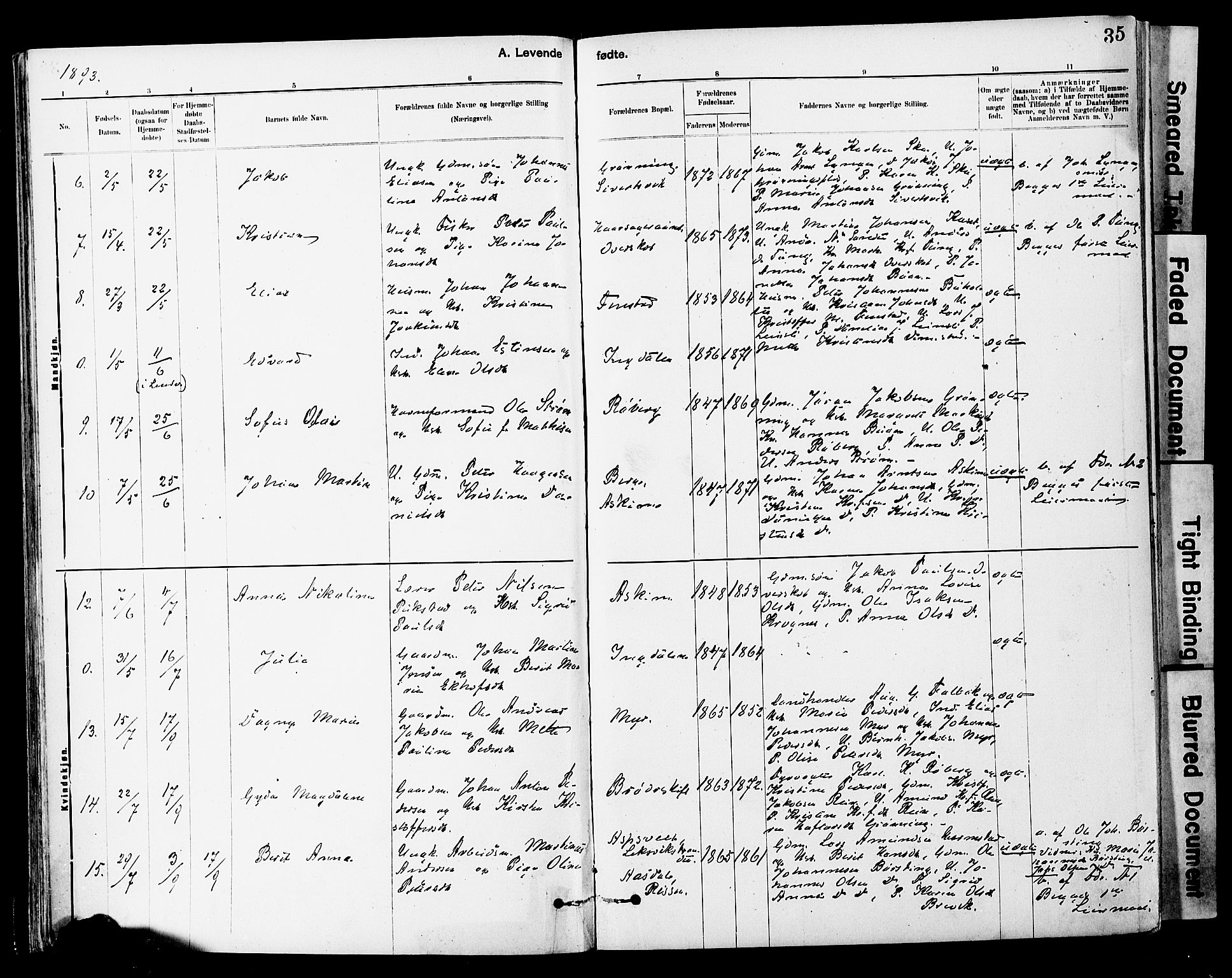 Ministerialprotokoller, klokkerbøker og fødselsregistre - Sør-Trøndelag, AV/SAT-A-1456/646/L0615: Ministerialbok nr. 646A13, 1885-1900, s. 35