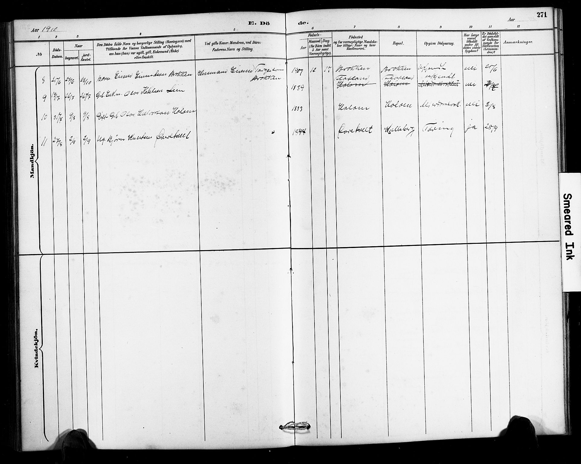 Valle sokneprestkontor, AV/SAK-1111-0044/F/Fb/Fbc/L0004: Klokkerbok nr. B 4, 1890-1928, s. 271