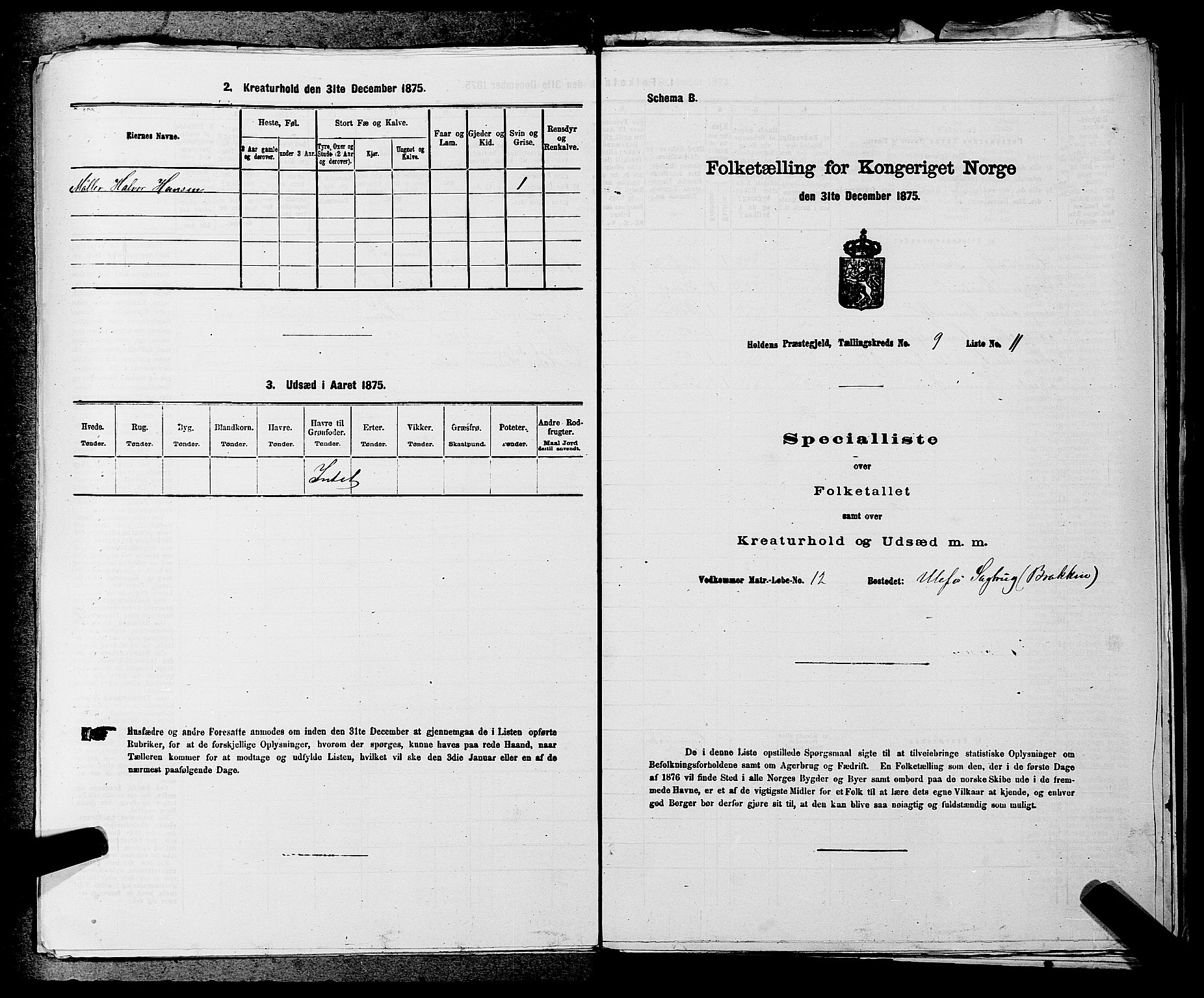 SAKO, Folketelling 1875 for 0819P Holla prestegjeld, 1875, s. 1099