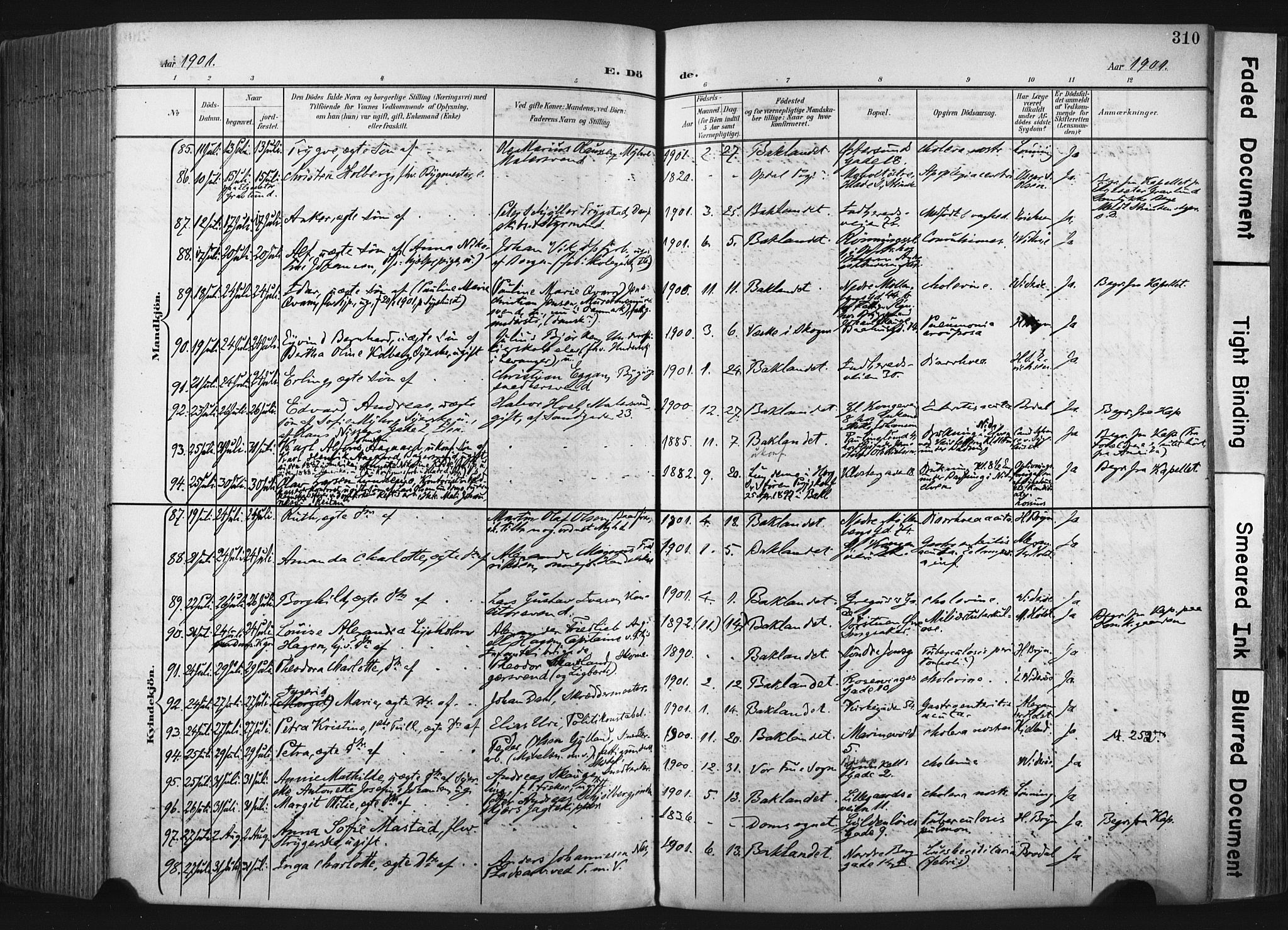 Ministerialprotokoller, klokkerbøker og fødselsregistre - Sør-Trøndelag, SAT/A-1456/604/L0201: Ministerialbok nr. 604A21, 1901-1911, s. 310