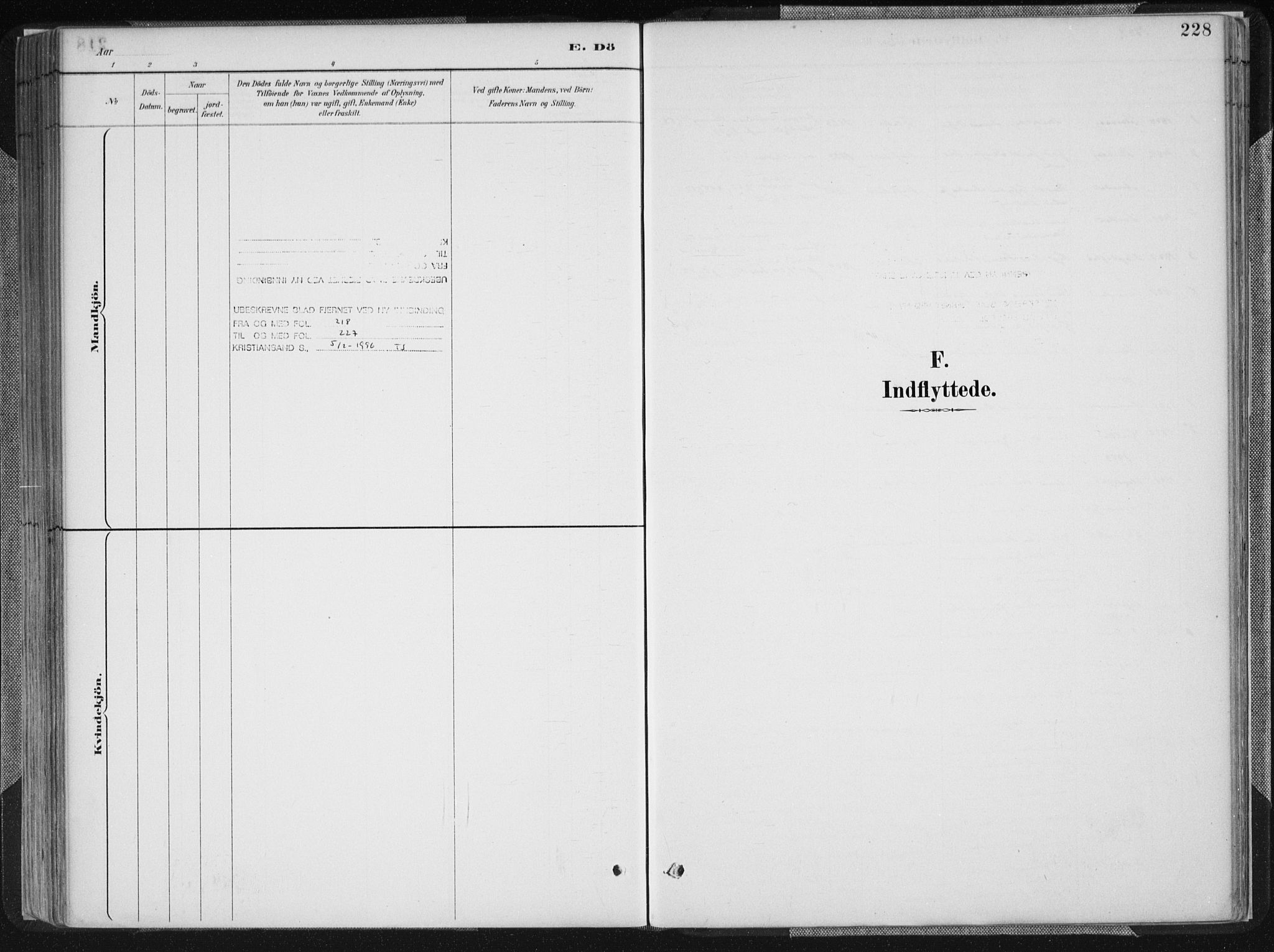 Birkenes sokneprestkontor, SAK/1111-0004/F/Fa/L0005: Ministerialbok nr. A 5, 1887-1907, s. 228