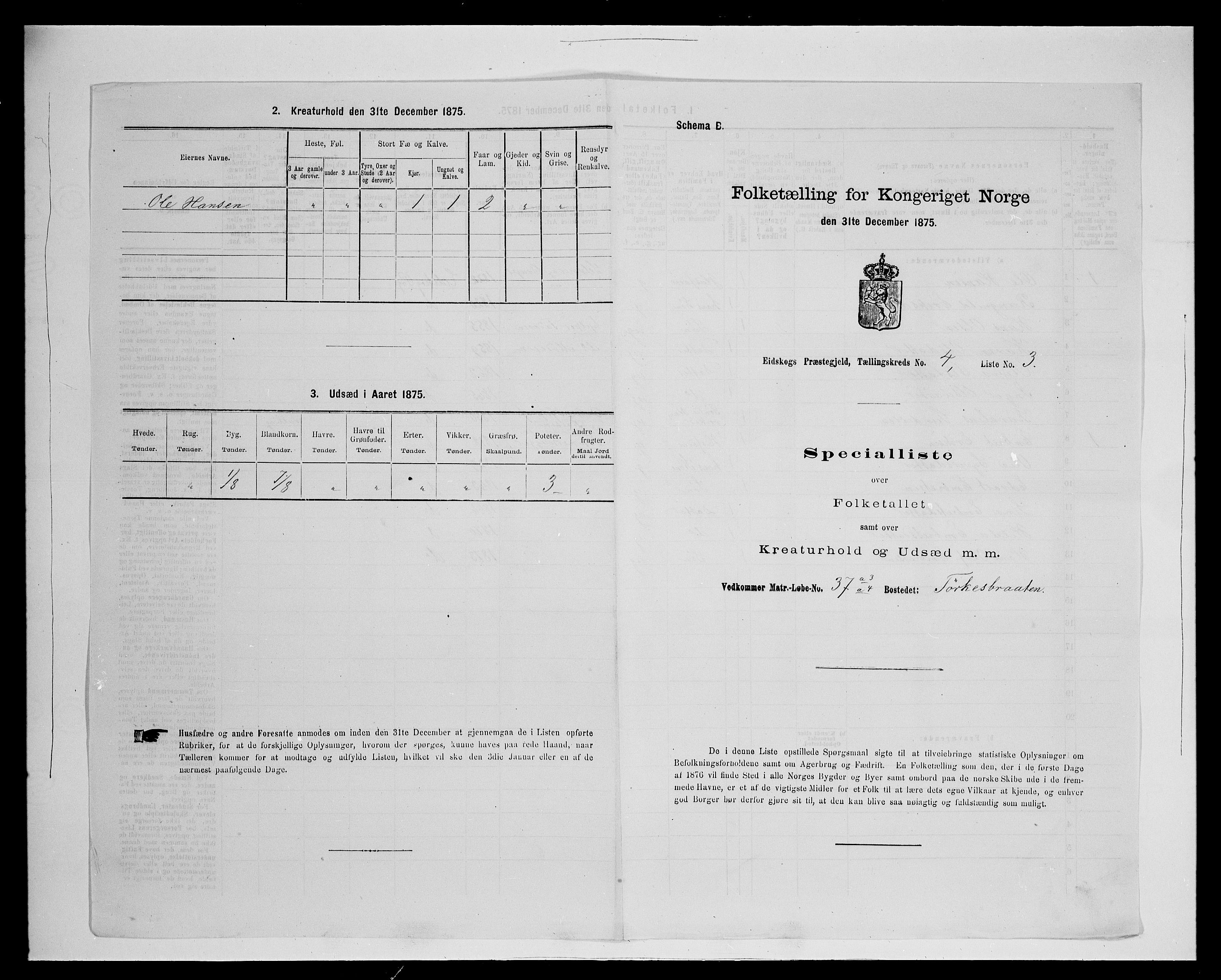 SAH, Folketelling 1875 for 0420P Eidskog prestegjeld, 1875, s. 672