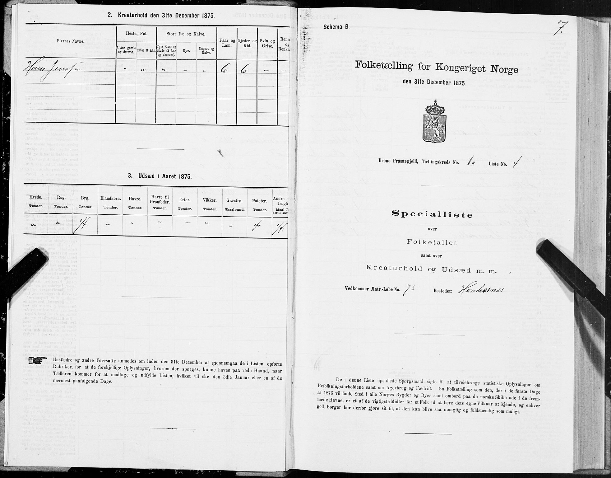 SAT, Folketelling 1875 for 1814P Brønnøy prestegjeld, 1875, s. 1007