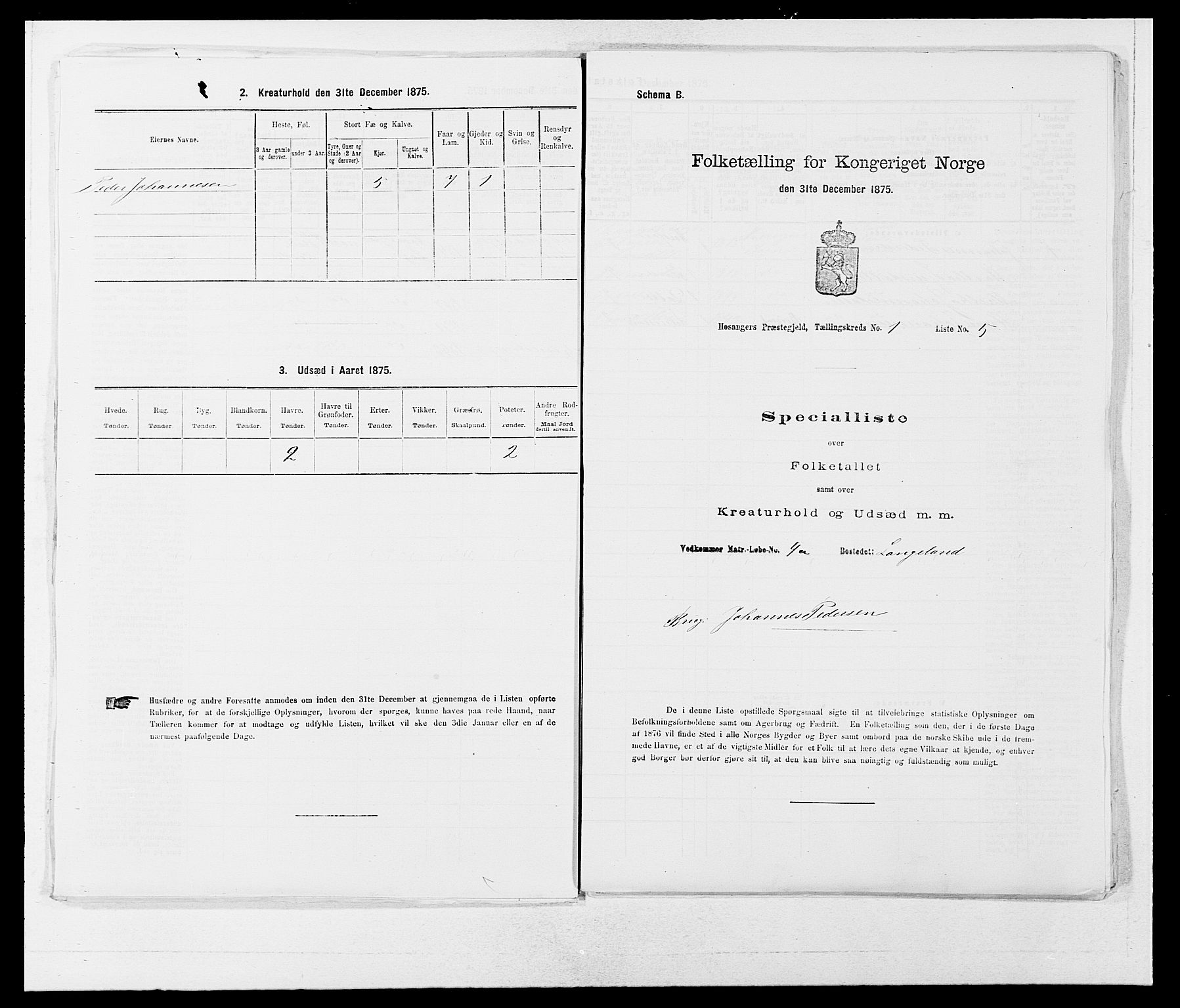 SAB, Folketelling 1875 for 1253P Hosanger prestegjeld, 1875, s. 45