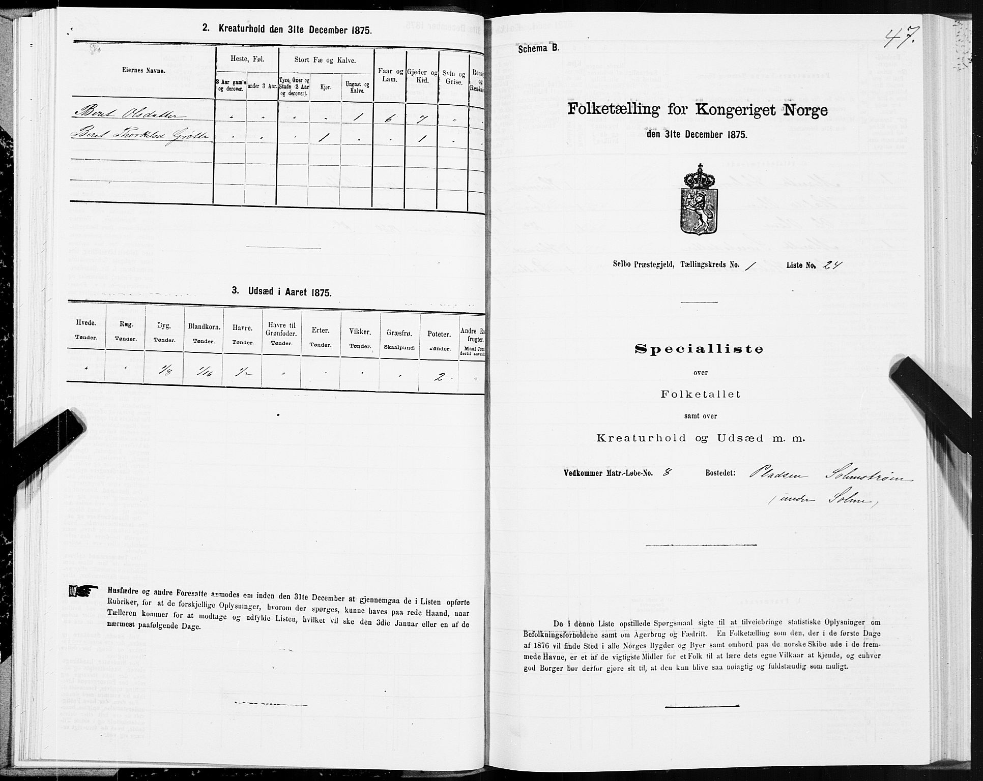 SAT, Folketelling 1875 for 1664P Selbu prestegjeld, 1875, s. 1047