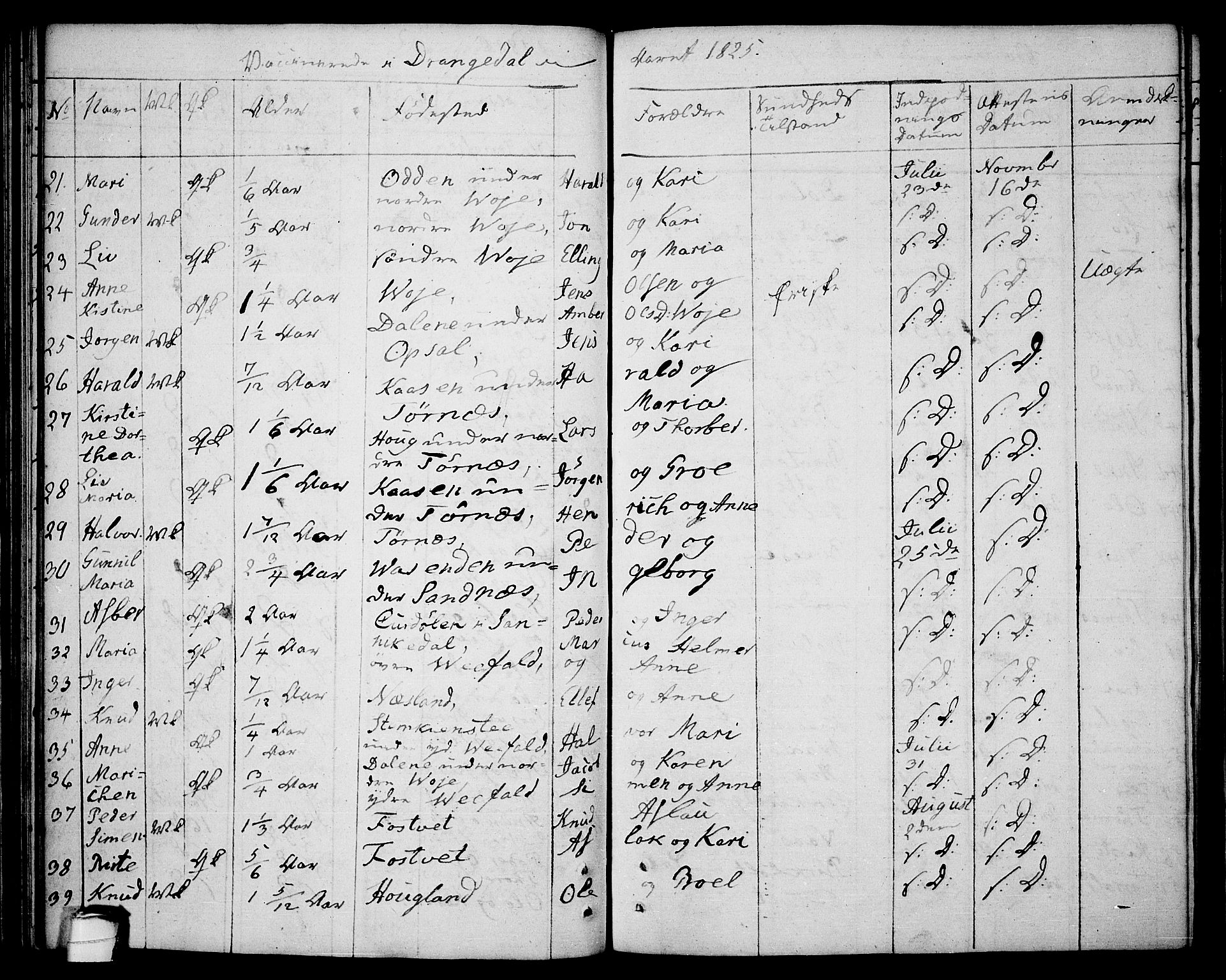 Drangedal kirkebøker, AV/SAKO-A-258/F/Fa/L0004: Ministerialbok nr. 4, 1802-1814