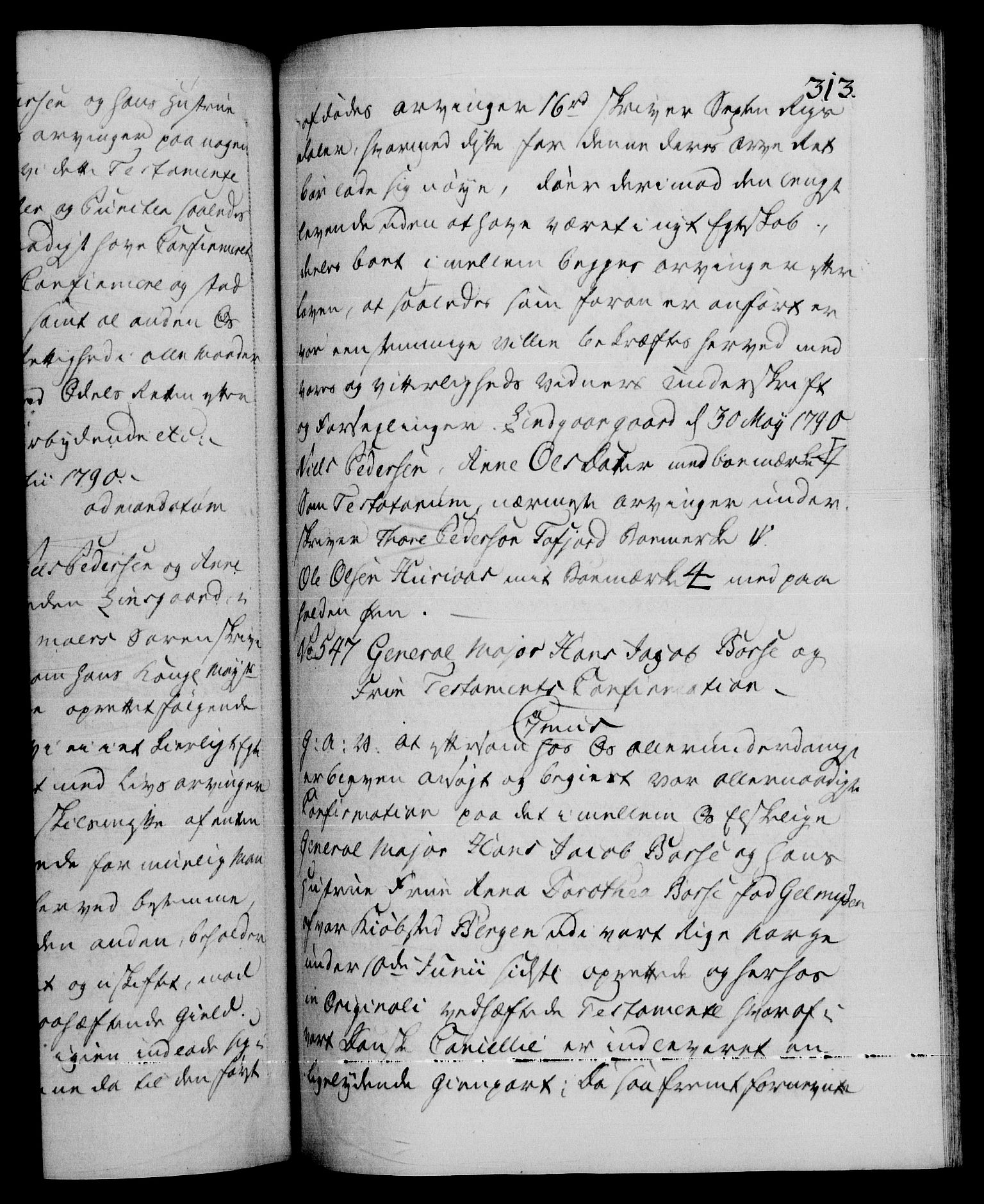 Danske Kanselli 1572-1799, RA/EA-3023/F/Fc/Fca/Fcaa/L0053: Norske registre, 1790-1791, s. 313a