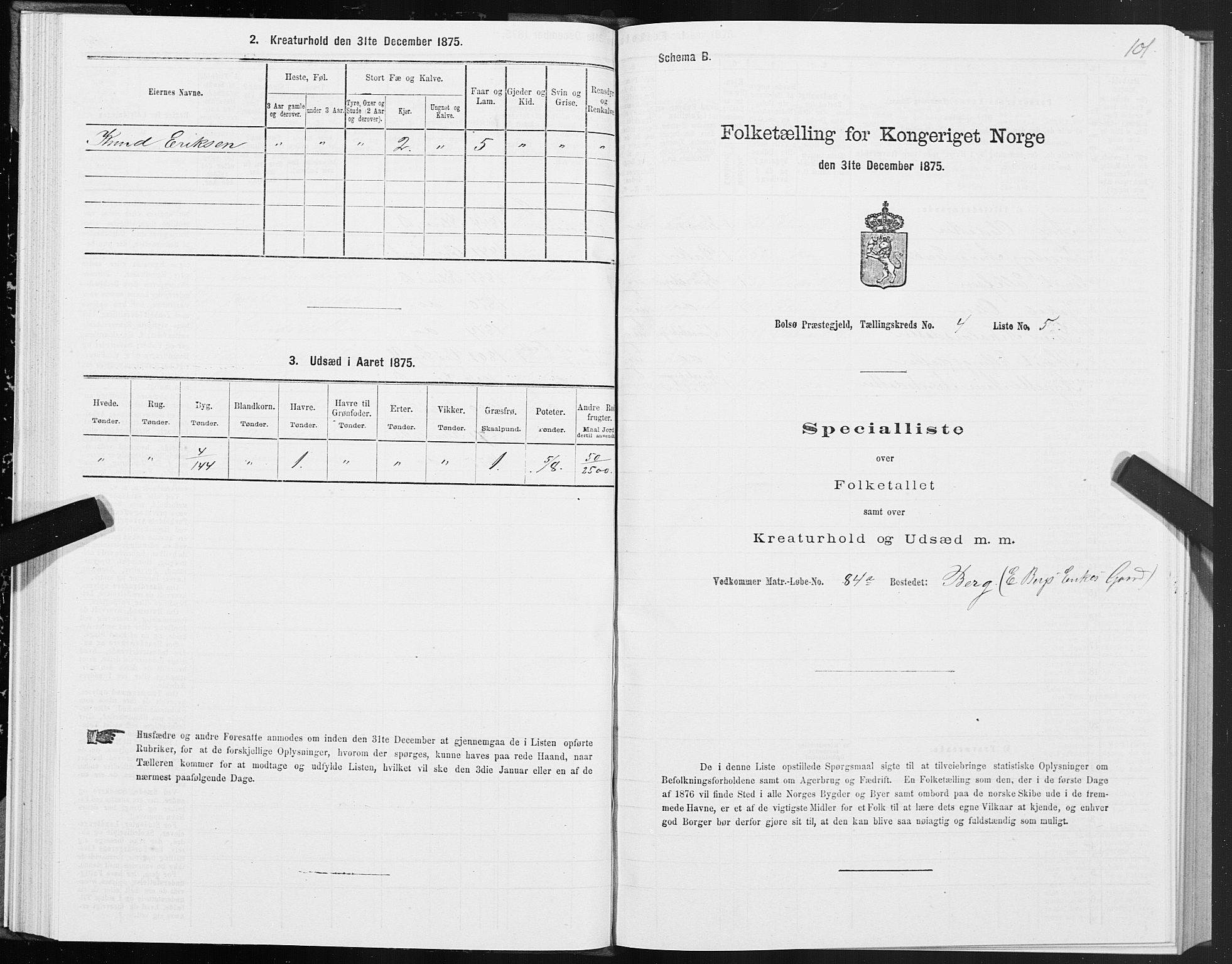 SAT, Folketelling 1875 for 1544P Bolsøy prestegjeld, 1875, s. 3101