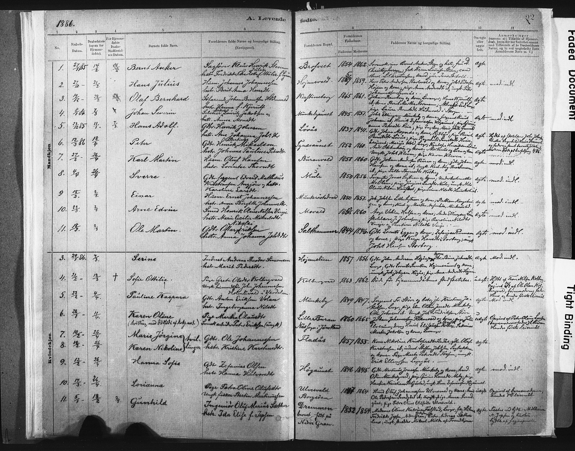 Ministerialprotokoller, klokkerbøker og fødselsregistre - Nord-Trøndelag, SAT/A-1458/721/L0207: Ministerialbok nr. 721A02, 1880-1911, s. 22