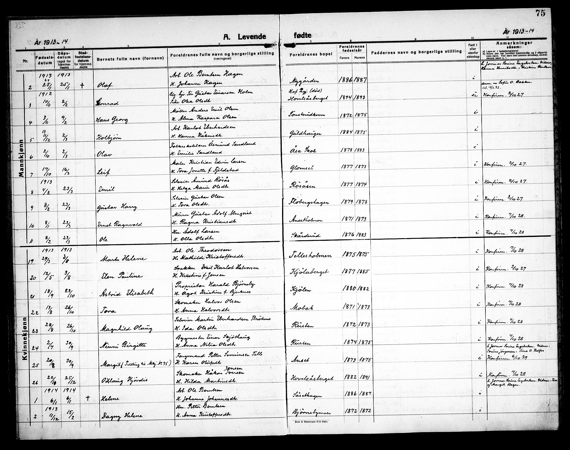 Åsnes prestekontor, AV/SAH-PREST-042/H/Ha/Haa/L0000C: Ministerialbok nr. 0A, 1890-1929, s. 75