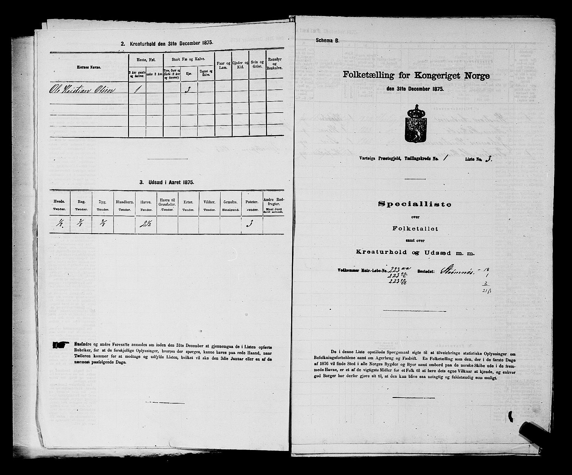 RA, Folketelling 1875 for 0114P Varteig prestegjeld, 1875, s. 21